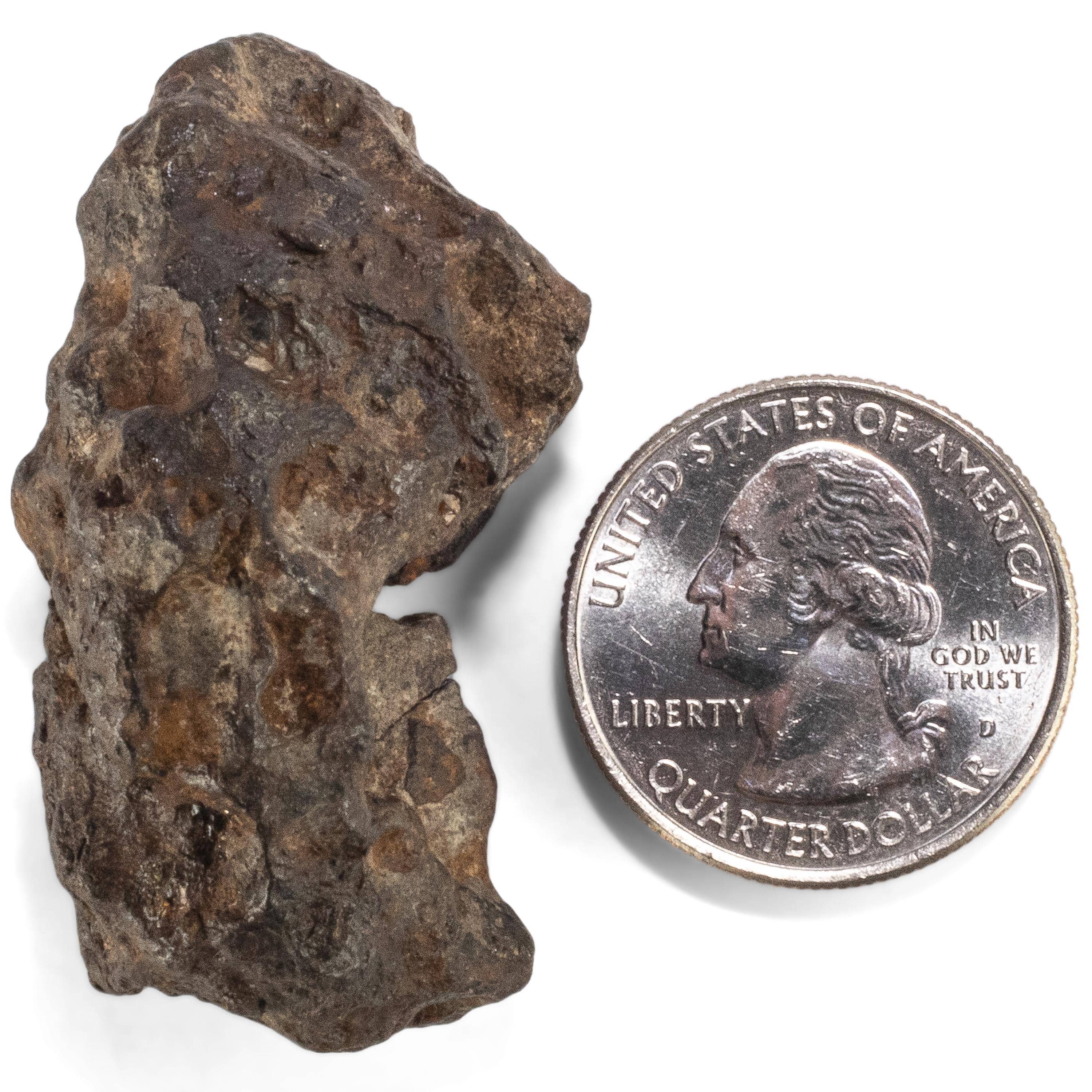 Kalifano Meteorites Sericho Iron Meteorite discovered in Kenya - 57.2 grams MTCHO1000.003
