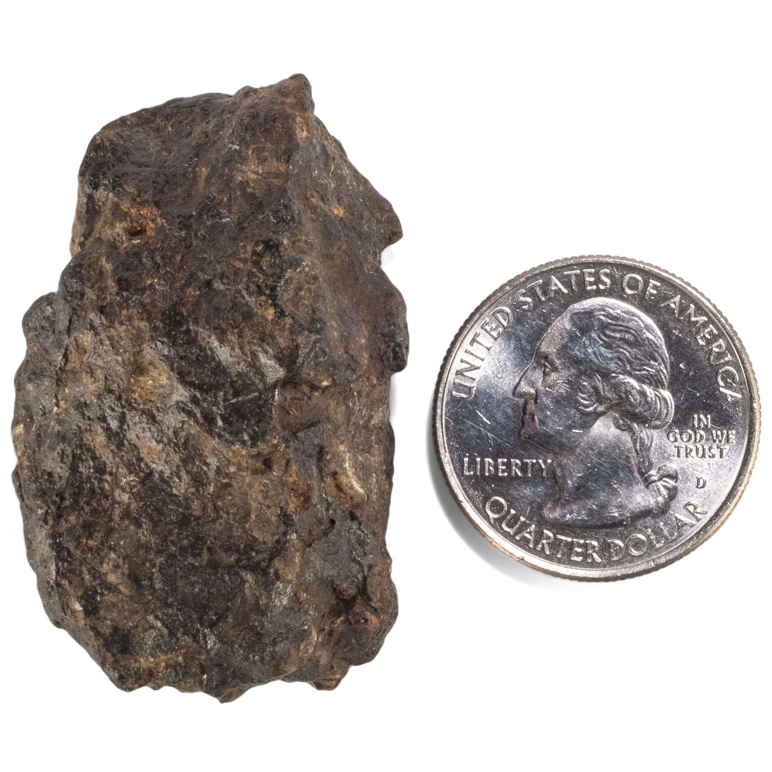Kalifano Meteorites Sericho Iron Meteorite discovered in Kenya - 59.3 grams MTCHO1000.004