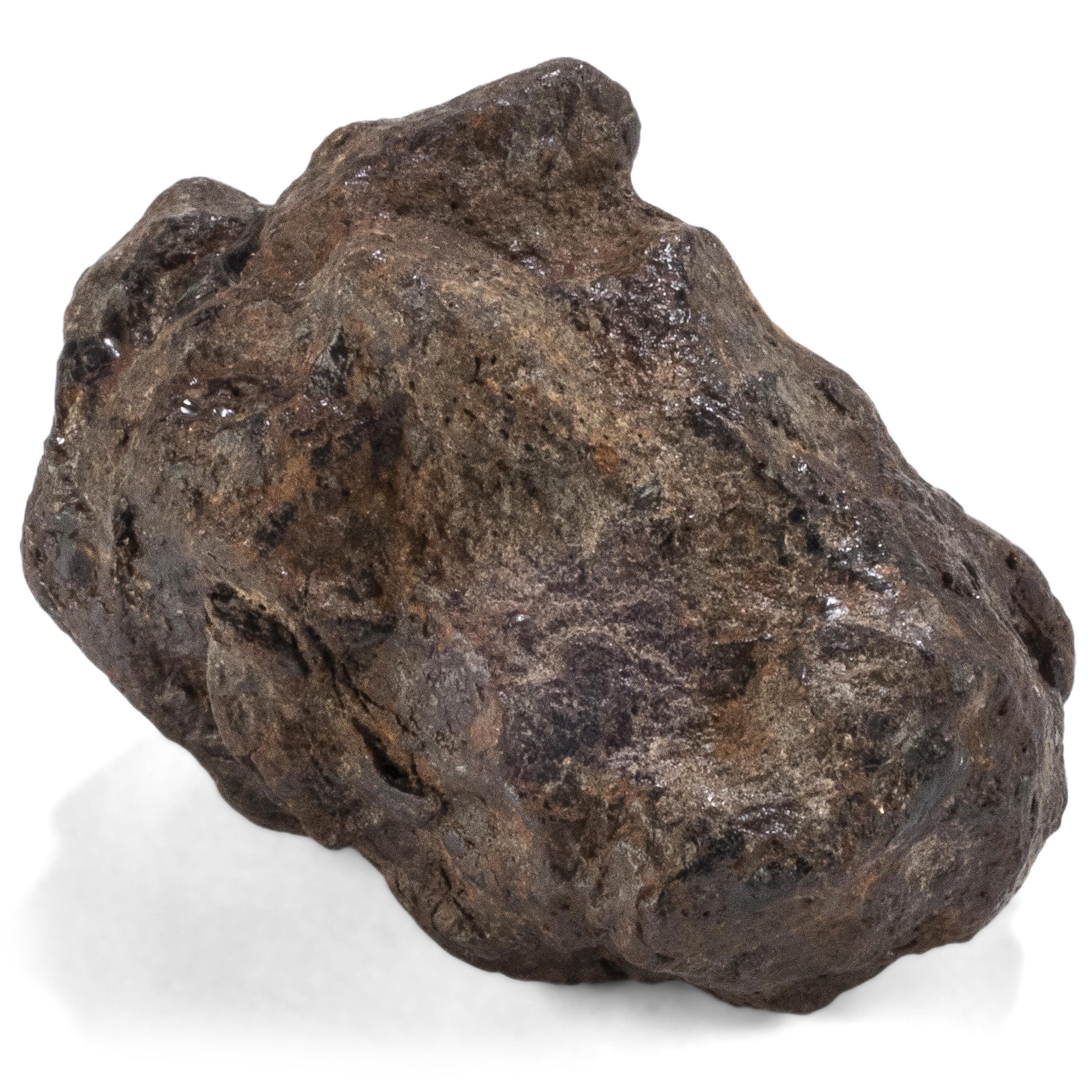 Kalifano Meteorites Sericho Iron Meteorite discovered in Kenya - 61.3 grams MTCHO1200.004