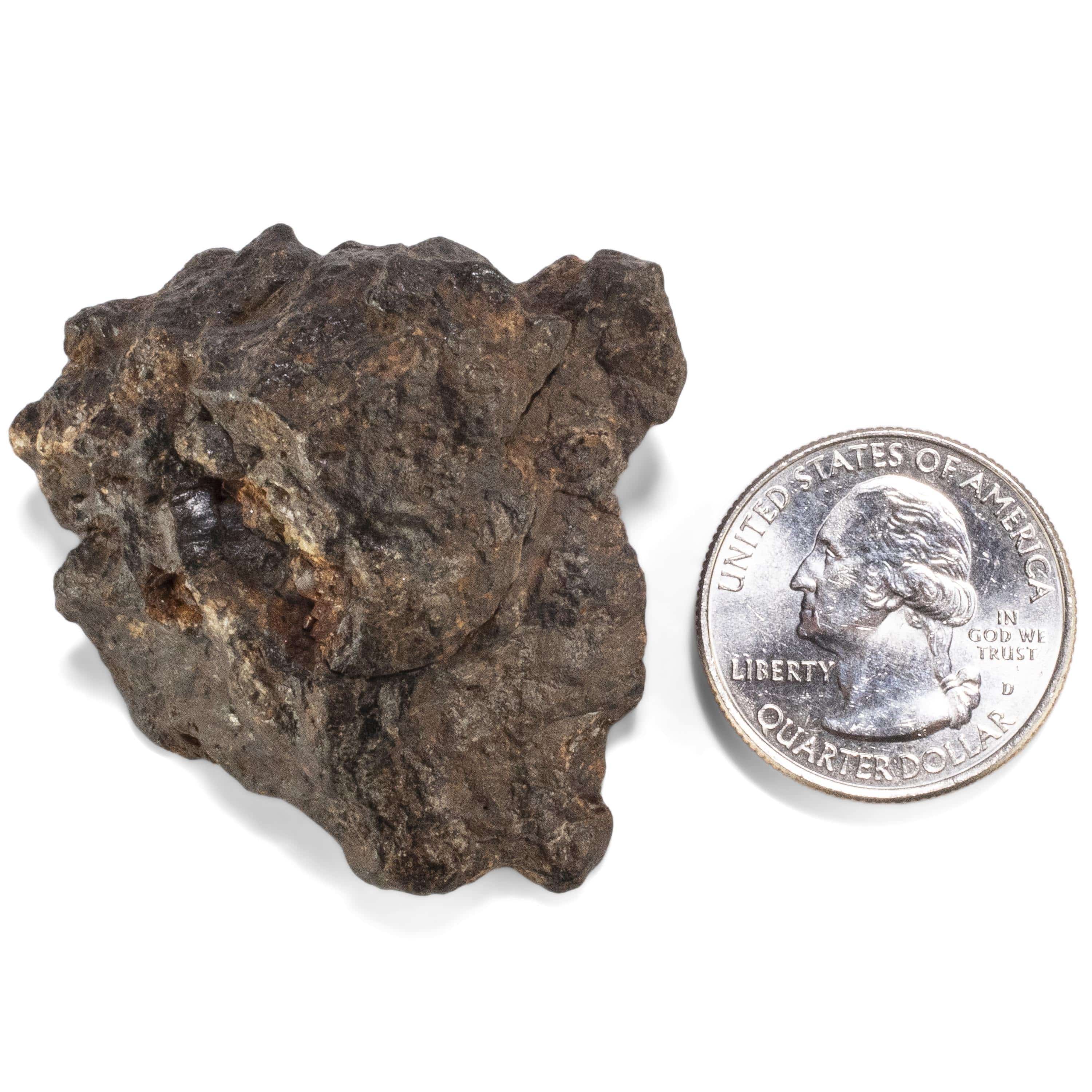 Kalifano Meteorites Sericho Iron Meteorite discovered in Kenya - 62.8 grams MTCHO1200.007