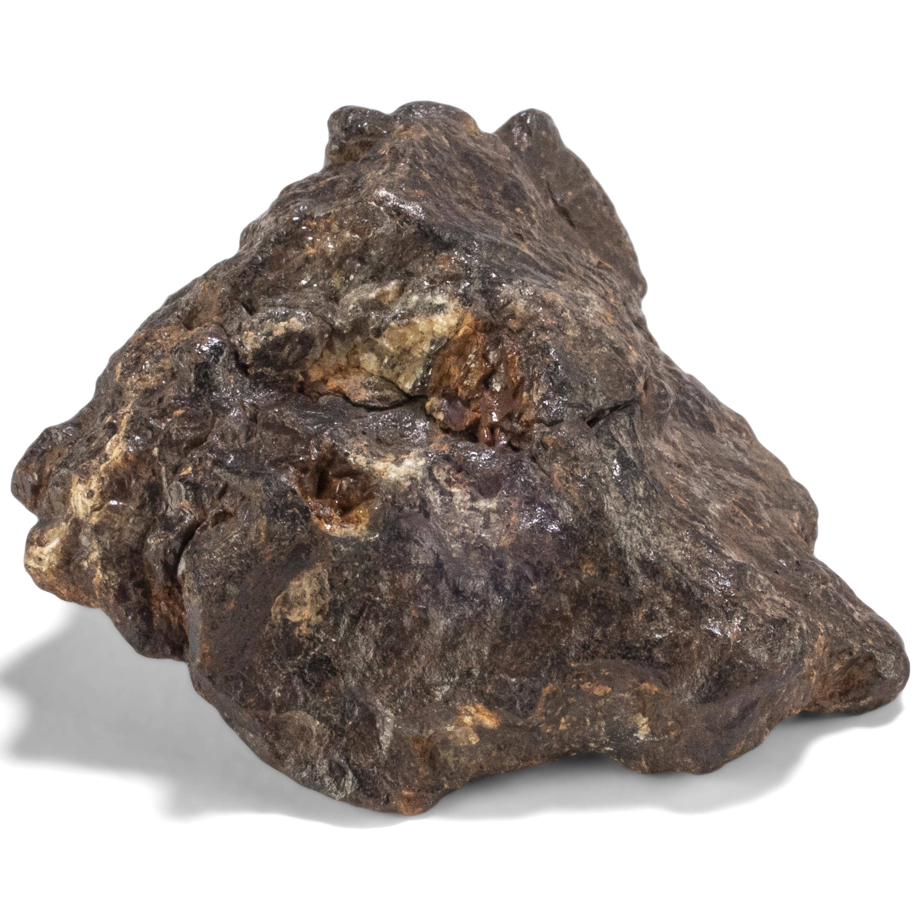 Kalifano Meteorites Sericho Iron Meteorite discovered in Kenya - 62.8 grams MTCHO1200.007