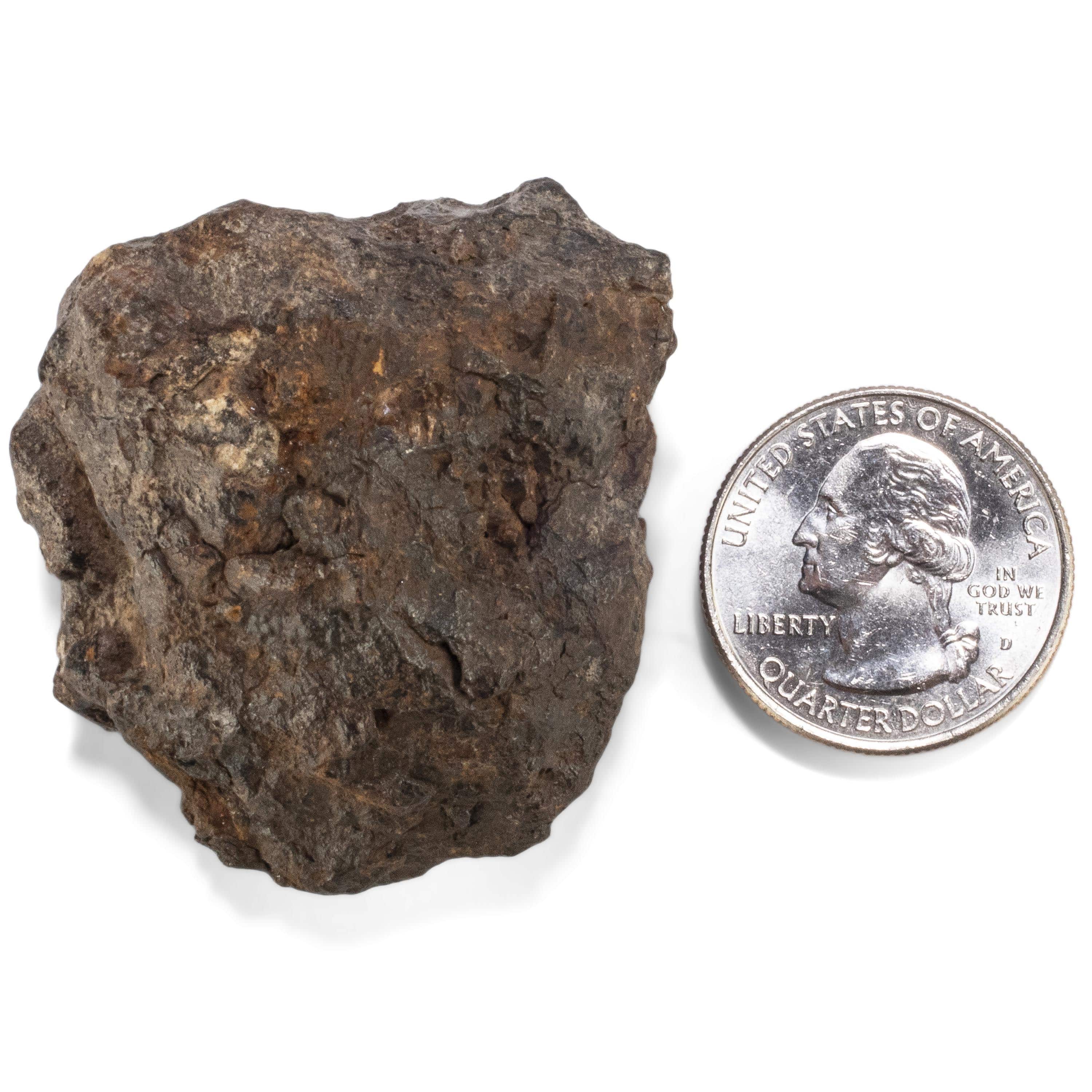Kalifano Meteorites Sericho Iron Meteorite discovered in Kenya - 87.2 grams MTCHO1600.001