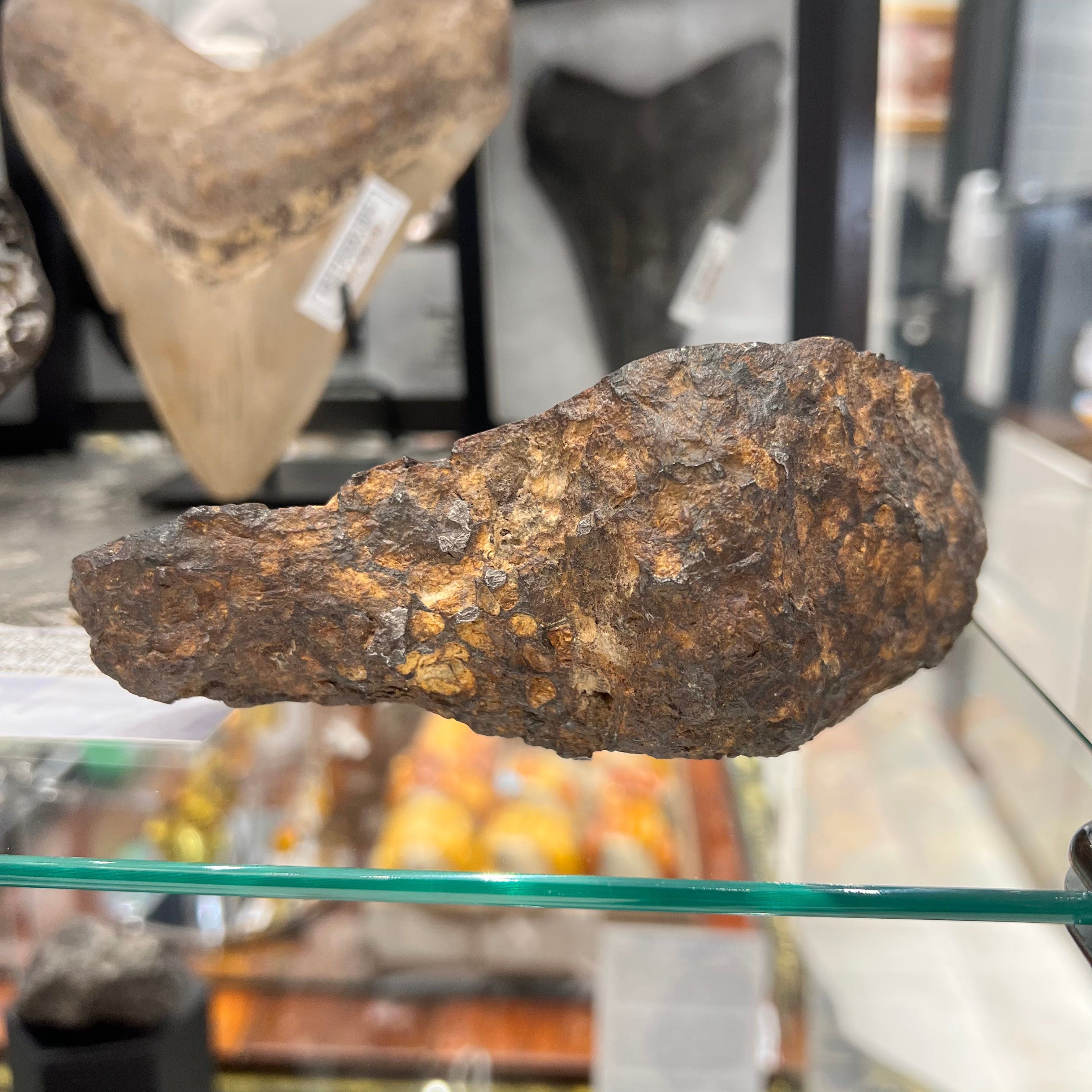 Kalifano Meteorites Sericho Pallasite Iron Meteorite - 943 gramsFound in 2016 - Kenya - TKW: 2,800 kg MTSER19000.001