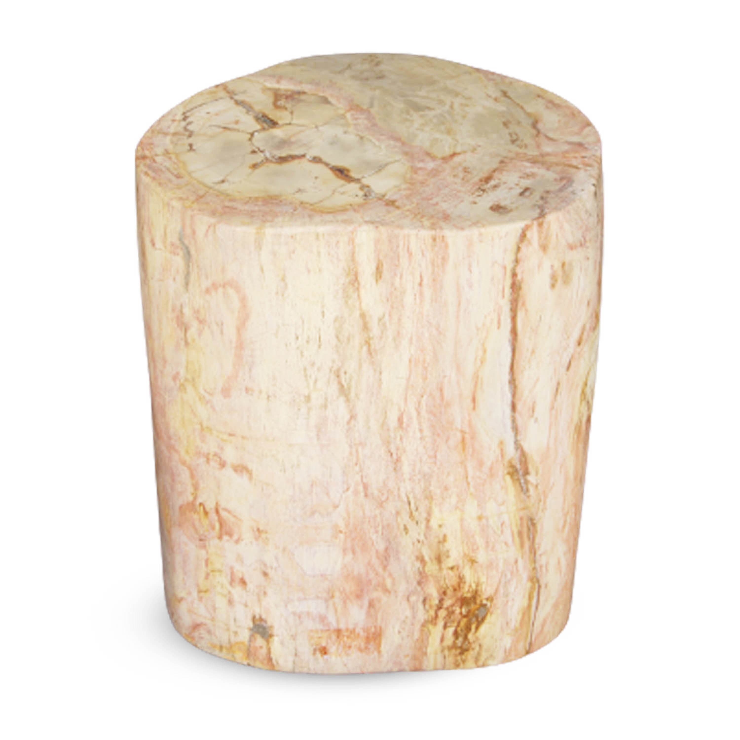Kalifano Petrified Wood Natural Polished Petrified Wood Stool from Indonesia - 18" / 234 lbs PWS4200.001