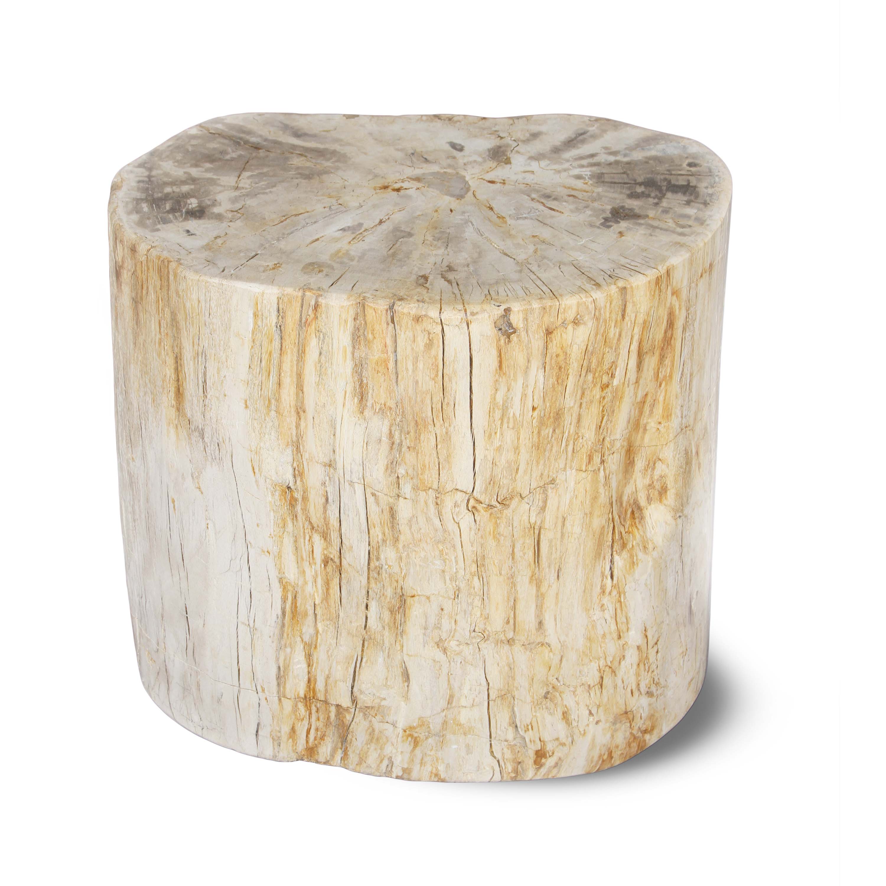 Kalifano Petrified Wood Natural Polished Petrified Wood Stool from Indonesia - 18" / 340 lbs PWS6200.001