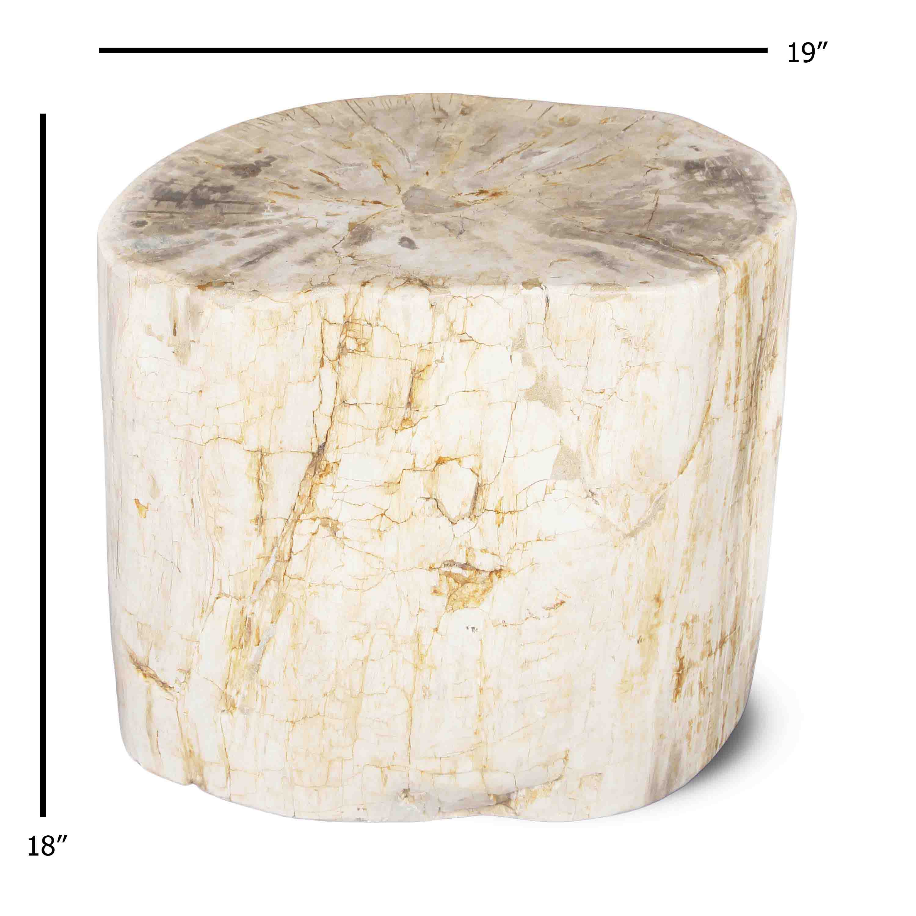 Kalifano Petrified Wood Natural Polished Petrified Wood Stool from Indonesia - 18" / 340 lbs PWS6200.001