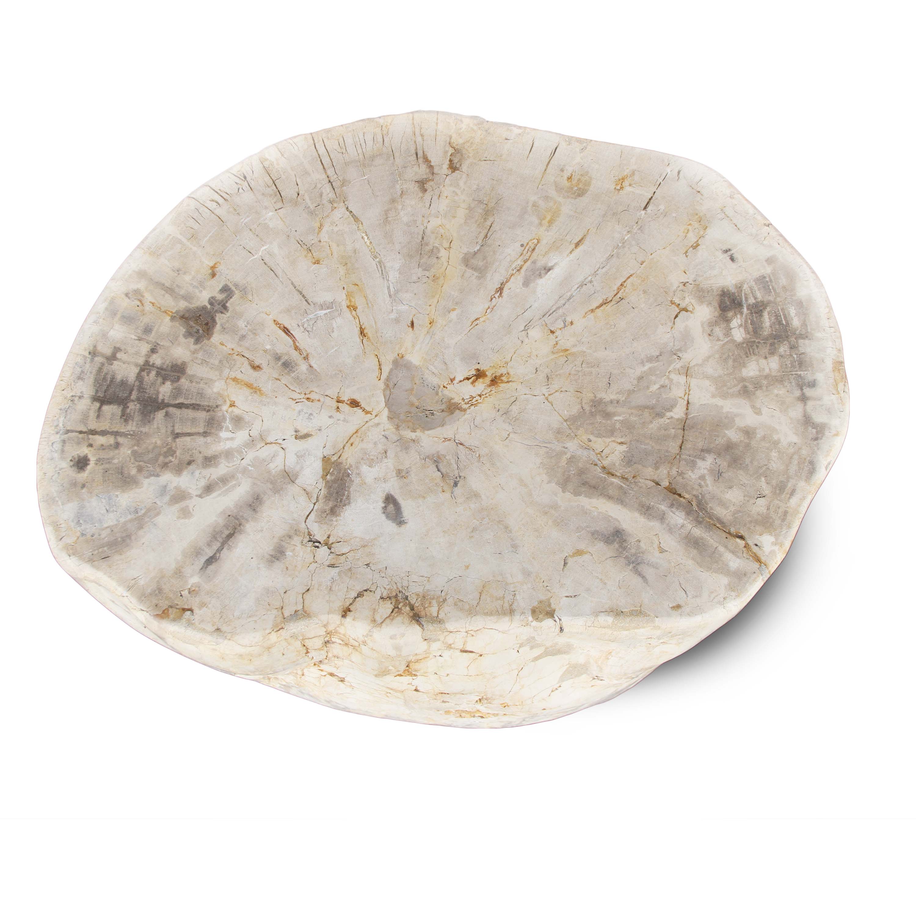 Kalifano Petrified Wood Natural Polished Petrified Wood Stool from Indonesia - 18" / 340 lbs PWS6200.001