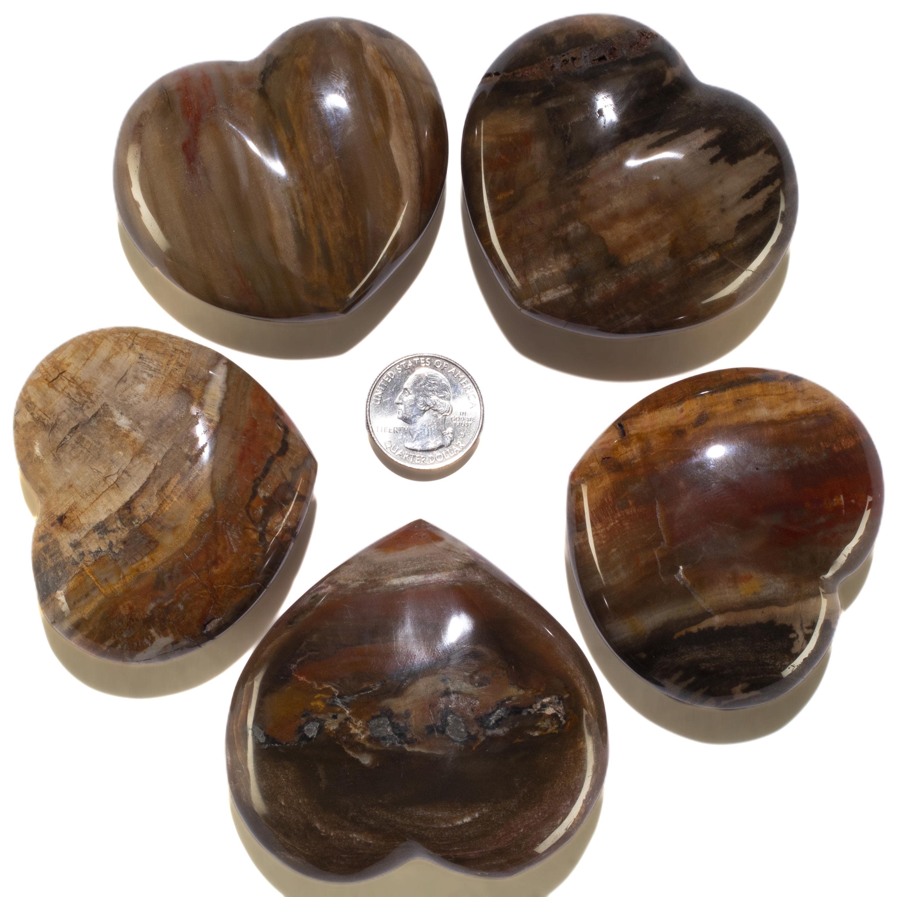 KALIFANO Petrified Wood Petrified Wood Gemstone Heart Carving 170g / 3in. GH200-PW