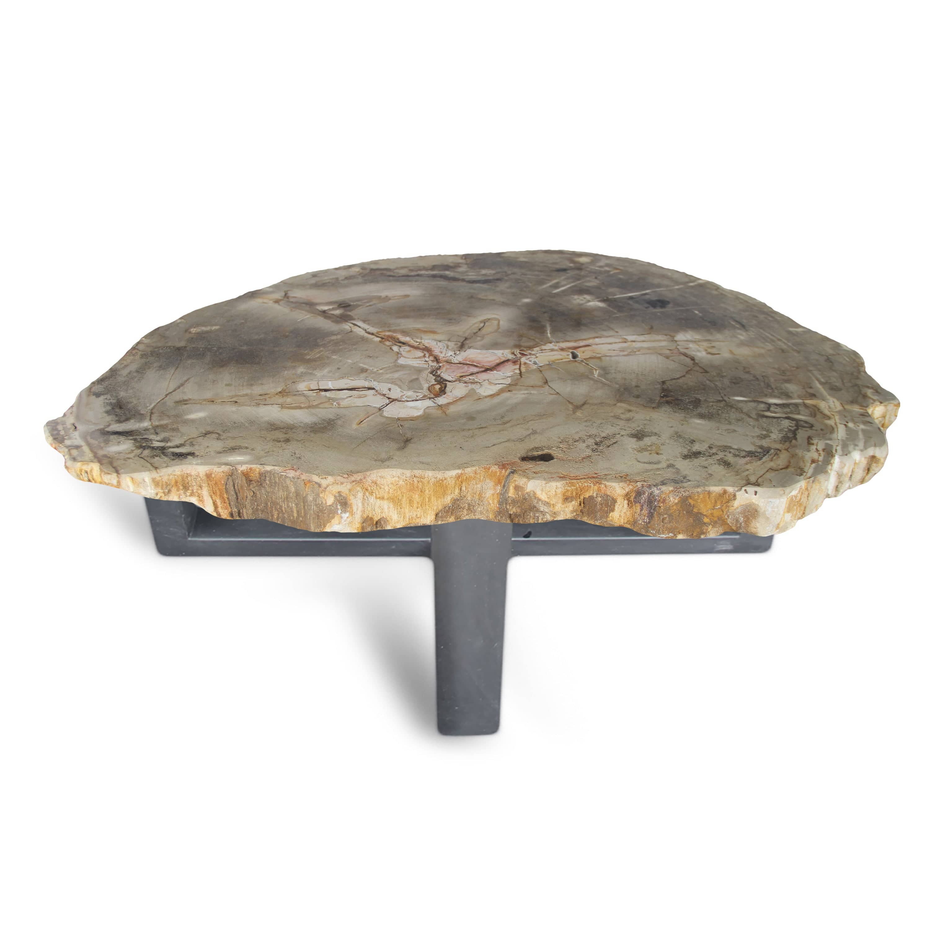 Kalifano Petrified Wood Petrified Wood Round Slab Coffee Table from Indonesia - 36" / 158 lbs PWT5800.002