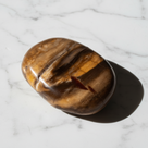 Petrified Wood Worry Stone