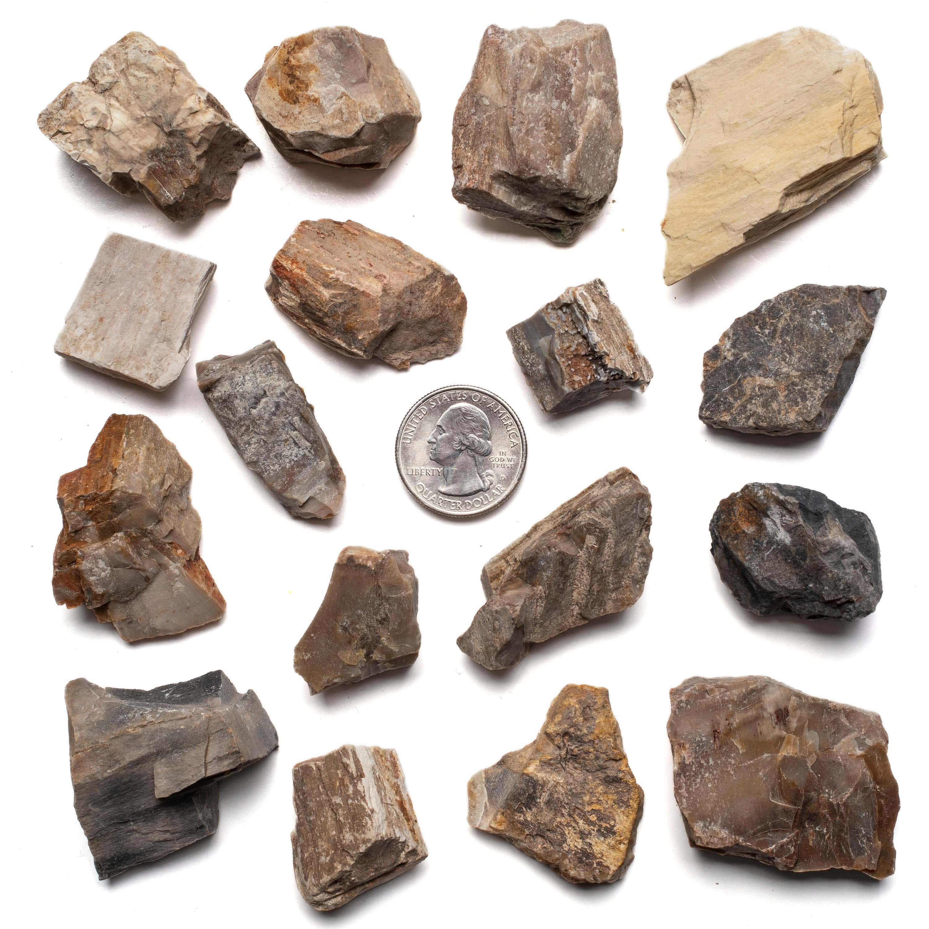 KALIFANO Rough Petrified Wood RG-PW