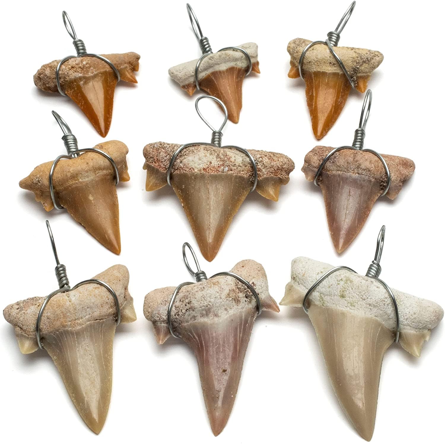 KALIFANO Wire Wrapped Shark Tooth Lot (9 pcs) STN59-12PK