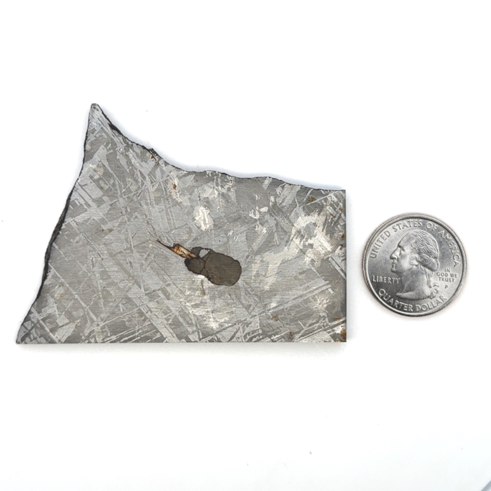 Gibeon Iron Meteorite Slice from Namibia 3" / 88 grams