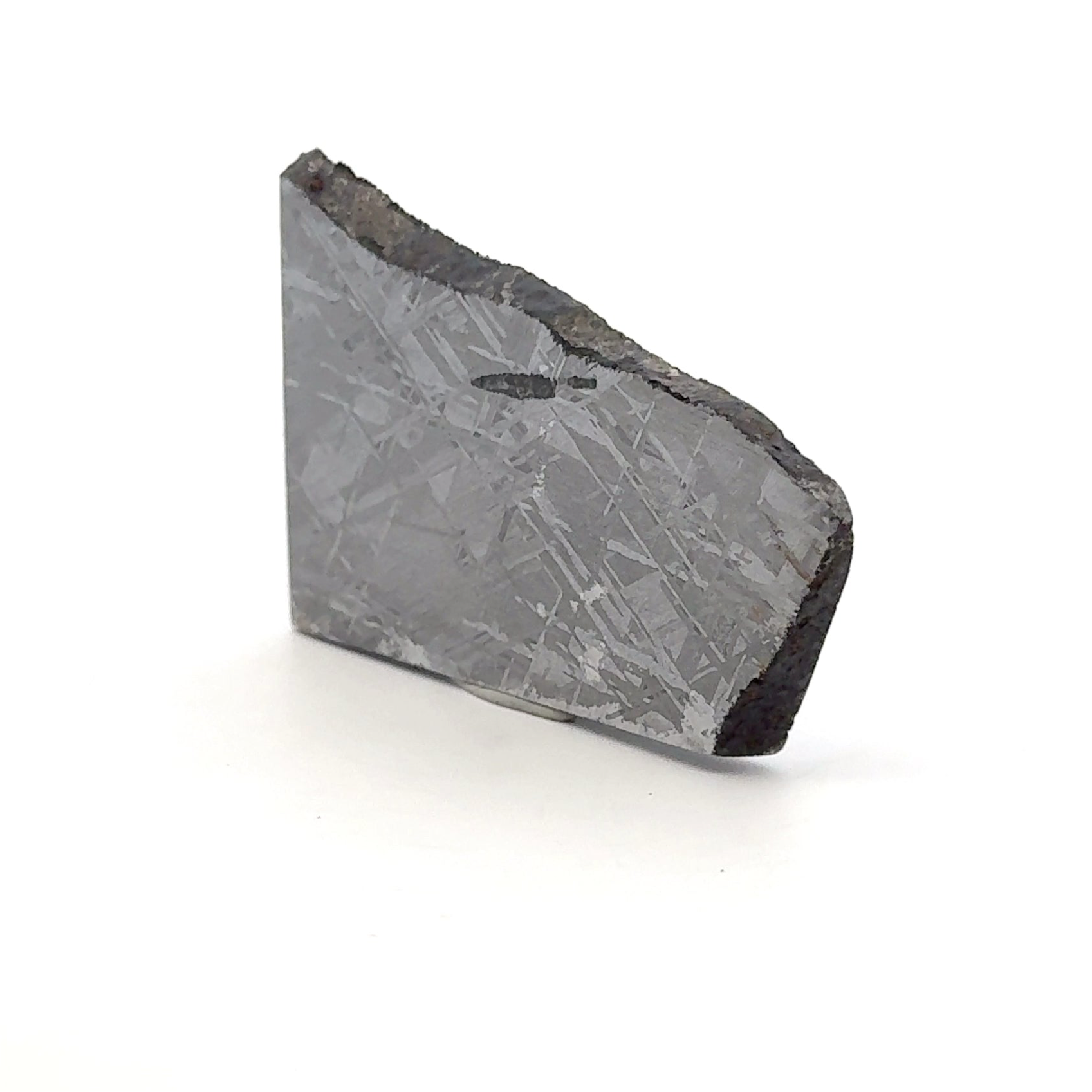 Gibeon Iron Meteorite Slice from Namibia 2.25" / 48 grams