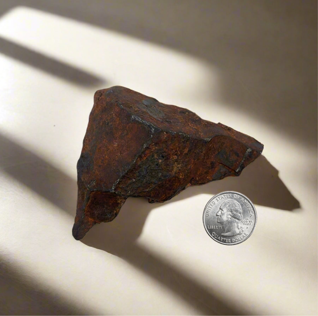 Gibeon Iron Meteorite from Namibia 3.5" / 190 grams