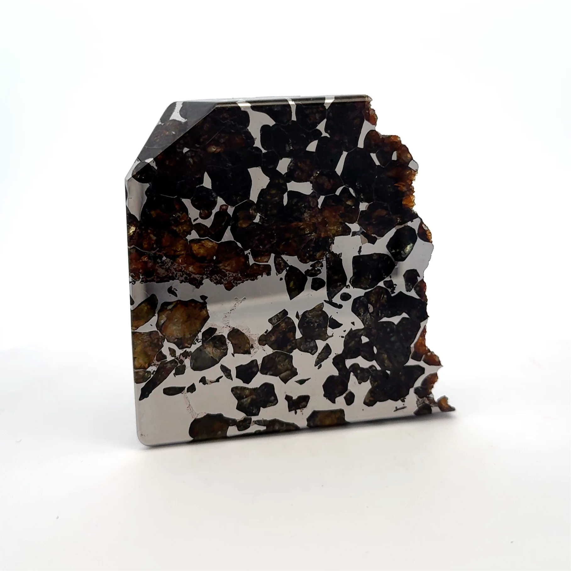 Seymchan with Pallasite Stony-iron Meteorite from Russia 2.75" / 269 grams