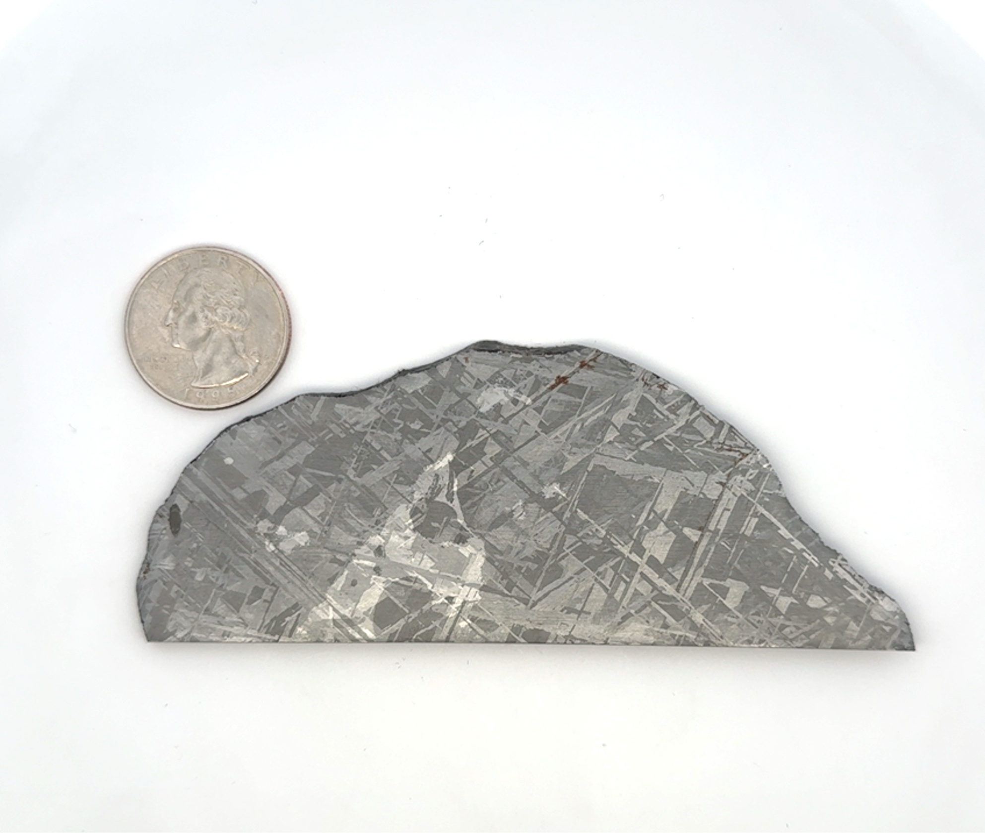 Gibeon Iron Meteorite Slice from Namibia 4.5" / 102 grams