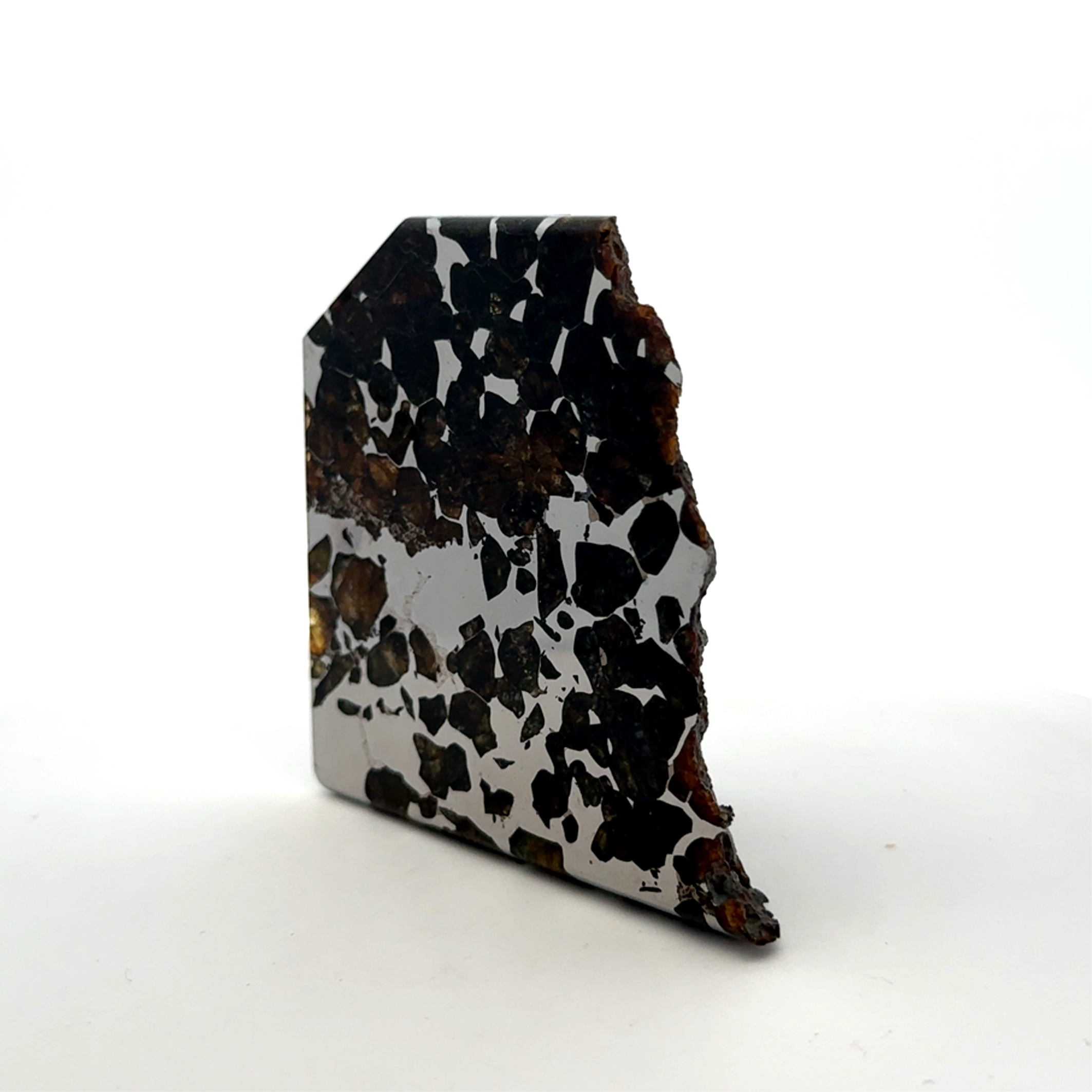 Seymchan with Pallasite Stony-iron Meteorite from Russia 2.75" / 269 grams