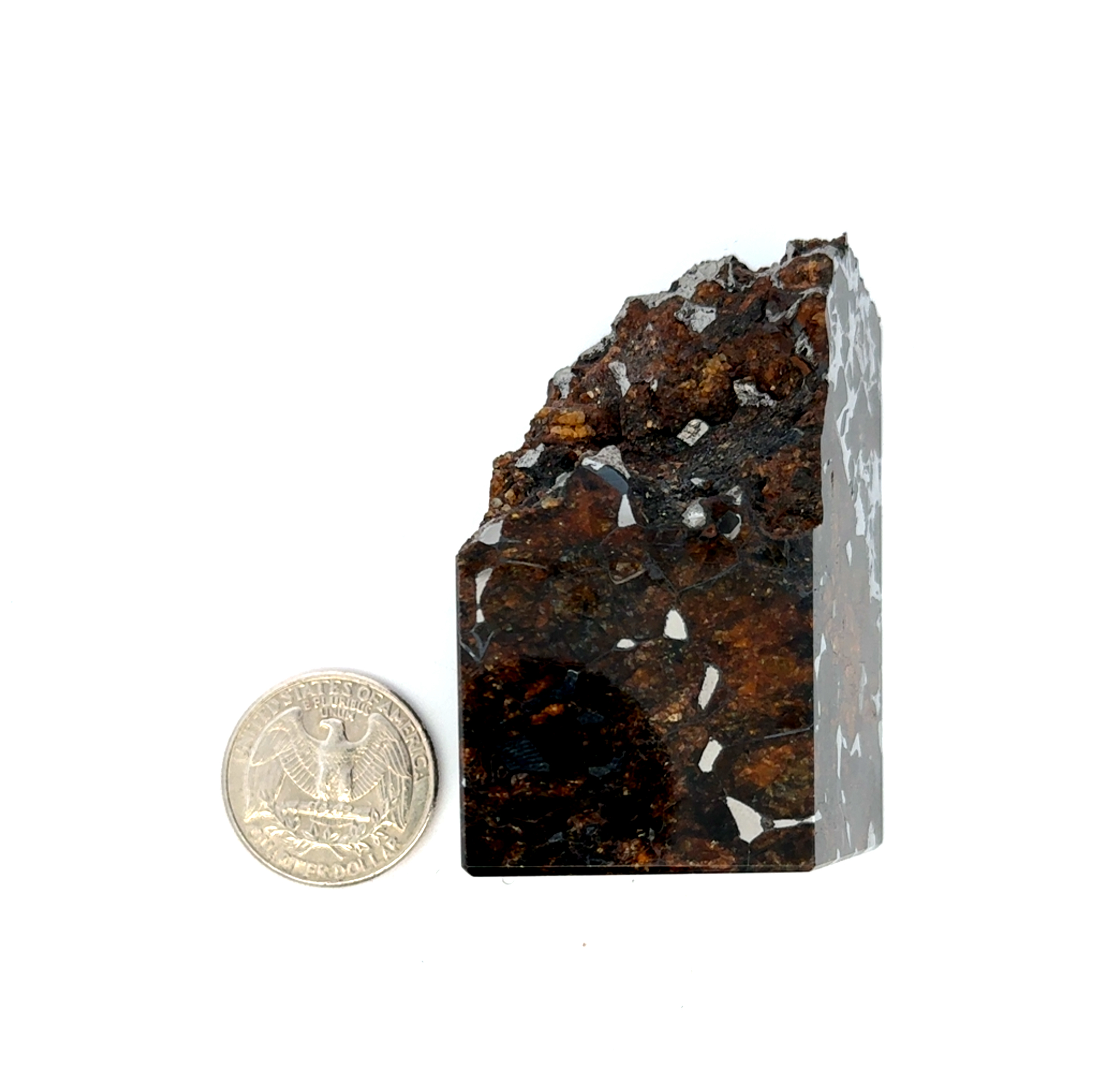 Seymchan with Pallasite Stony-iron Meteorite from Russia 2.25" / 217 grams