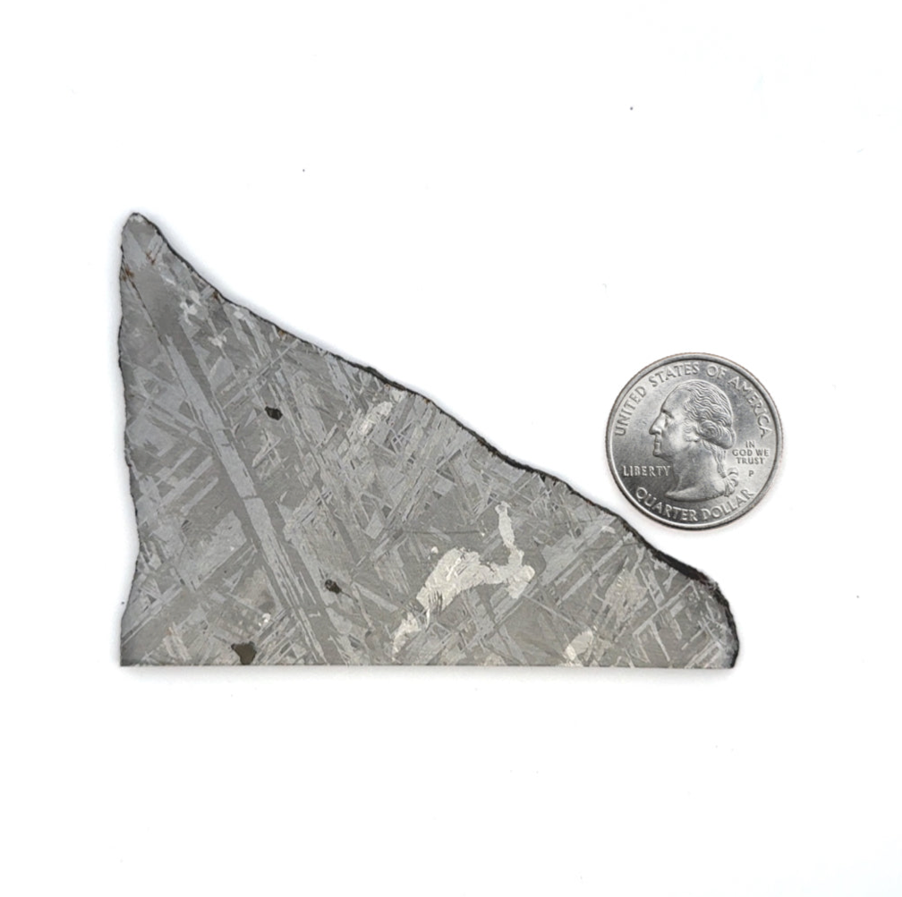 Gibeon Iron Meteorite Slice from Namibia 3.5" / 59 grams