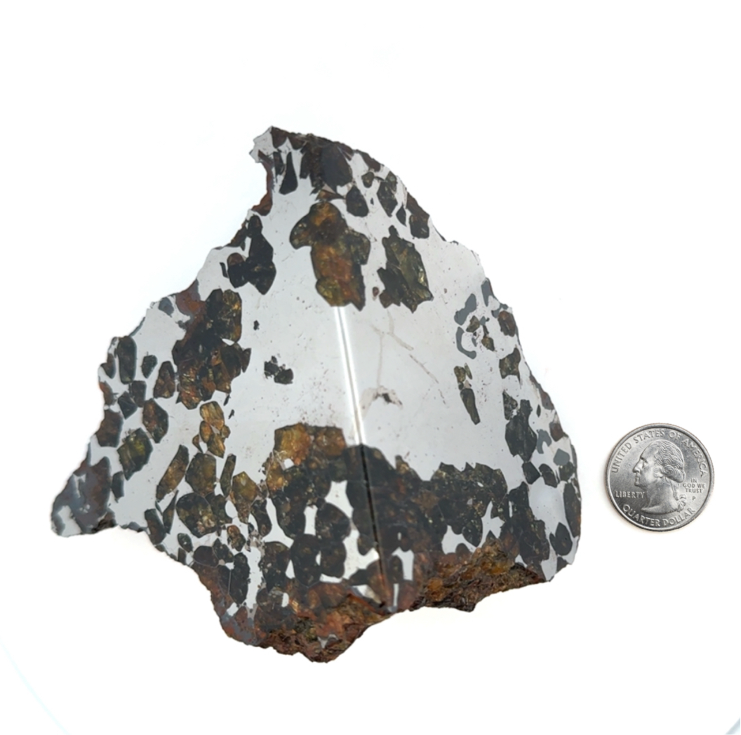 Seymchan with Pallasite Stony-iron Meteorite from Russia 3.5" / 682 grams