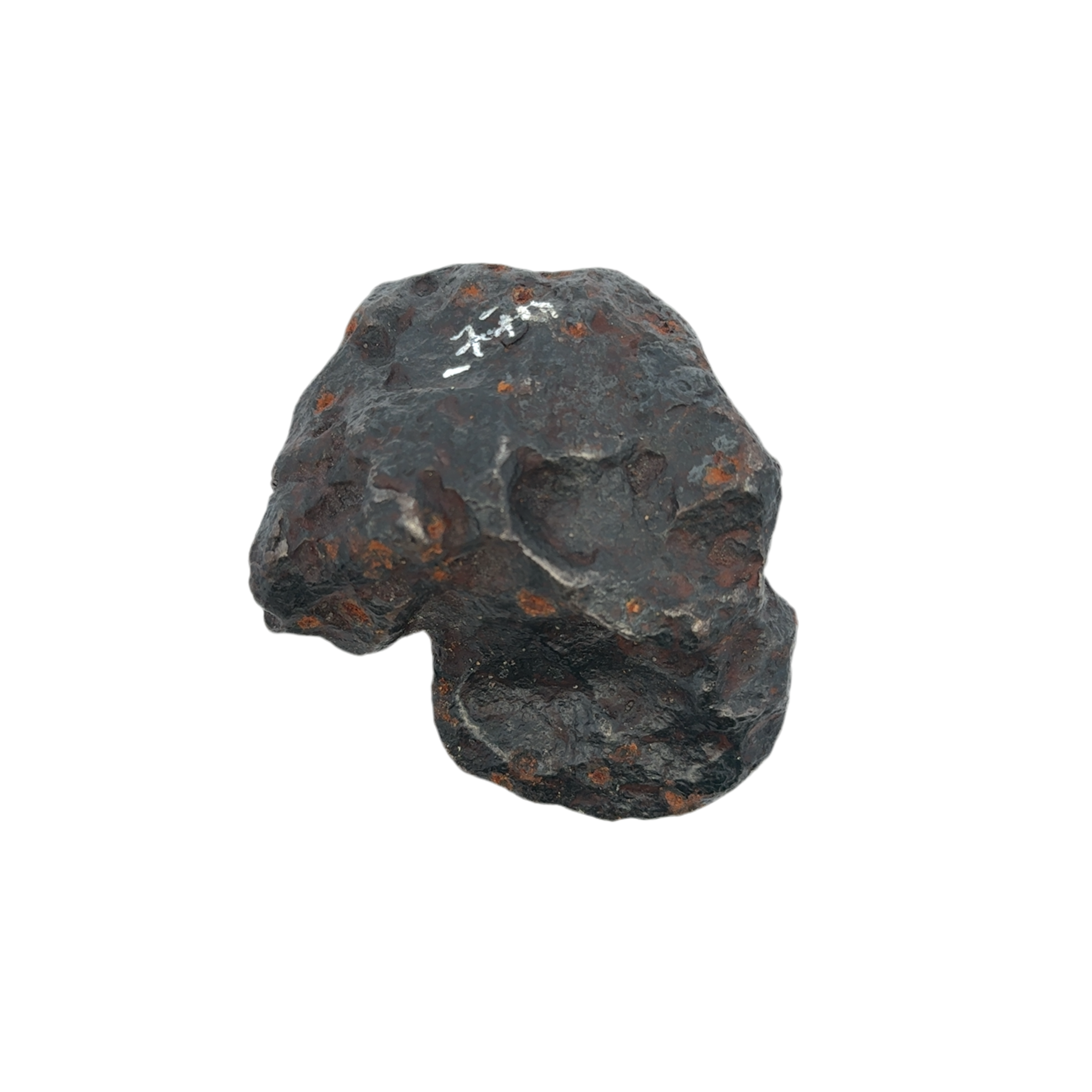 Campo del Cielo Iron Meteorite from Chaco, Argentina 3.5" / 768 grams