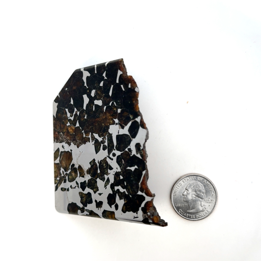 Seymchan with Pallasite Stony-iron Meteorite from Russia 2.75" / 269 grams