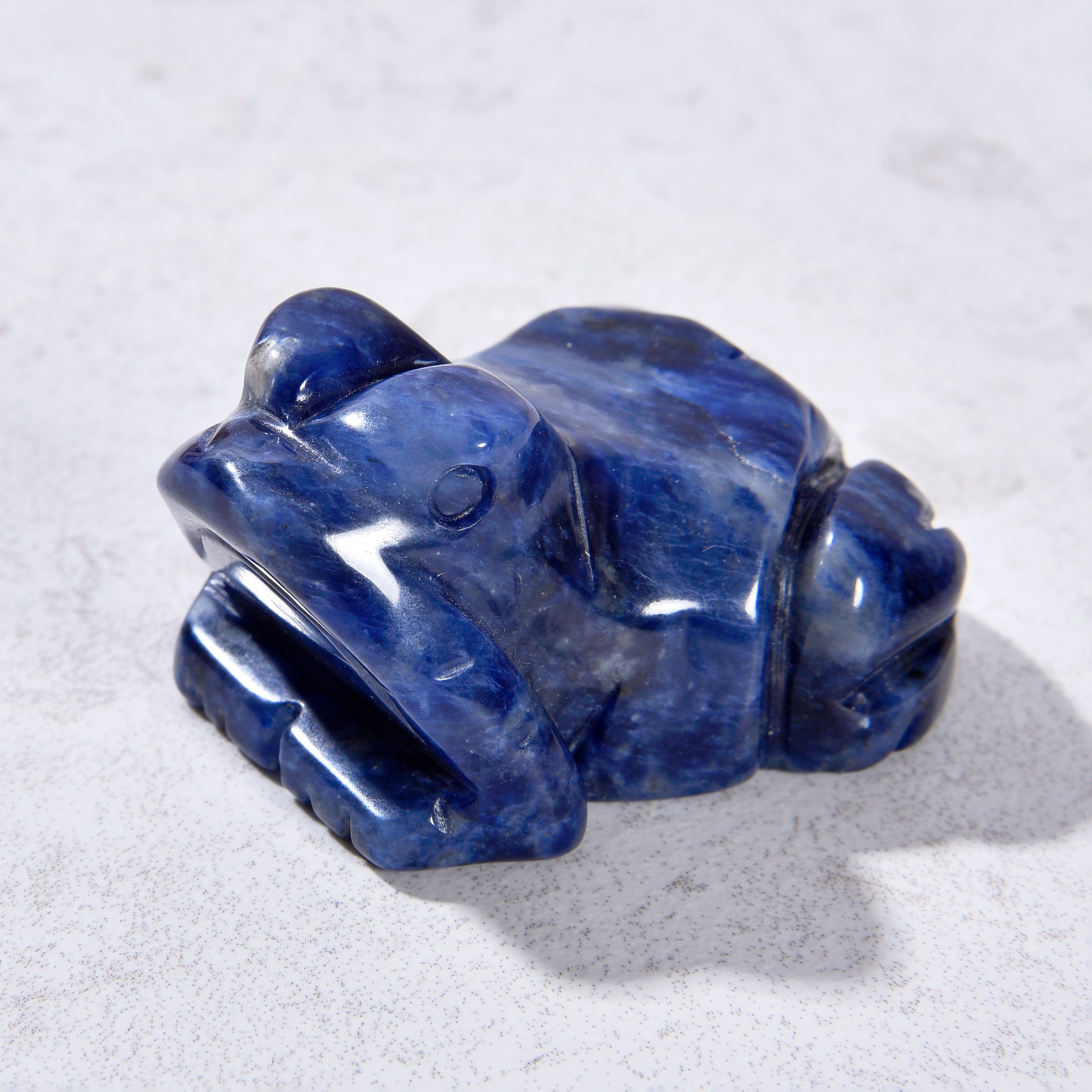 2" Sodalite Frog Natural Gemstone Carving