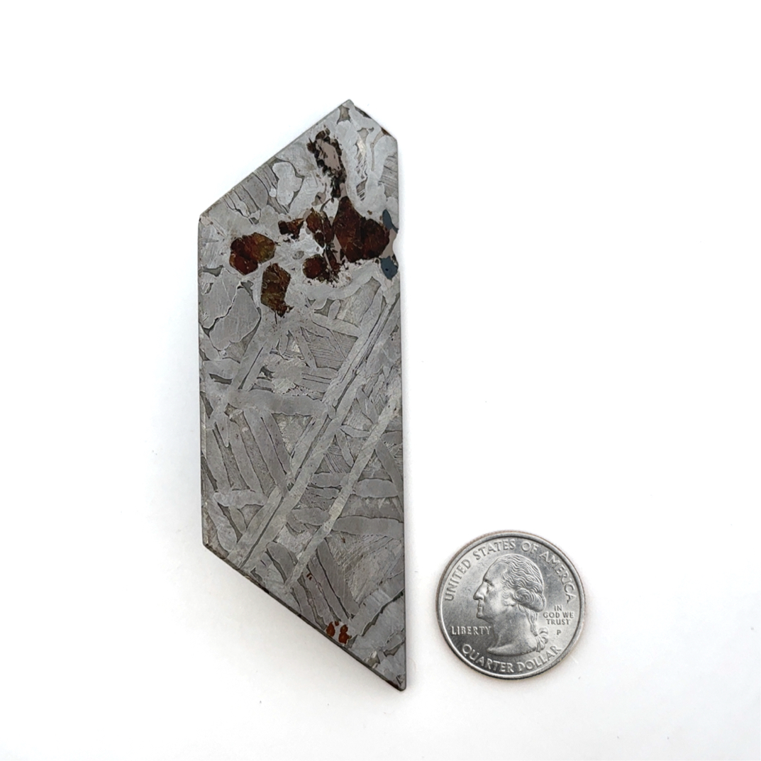 Seymchan with Pallasite Stony-iron Meteorite from Russia 3.75" / 210 grams