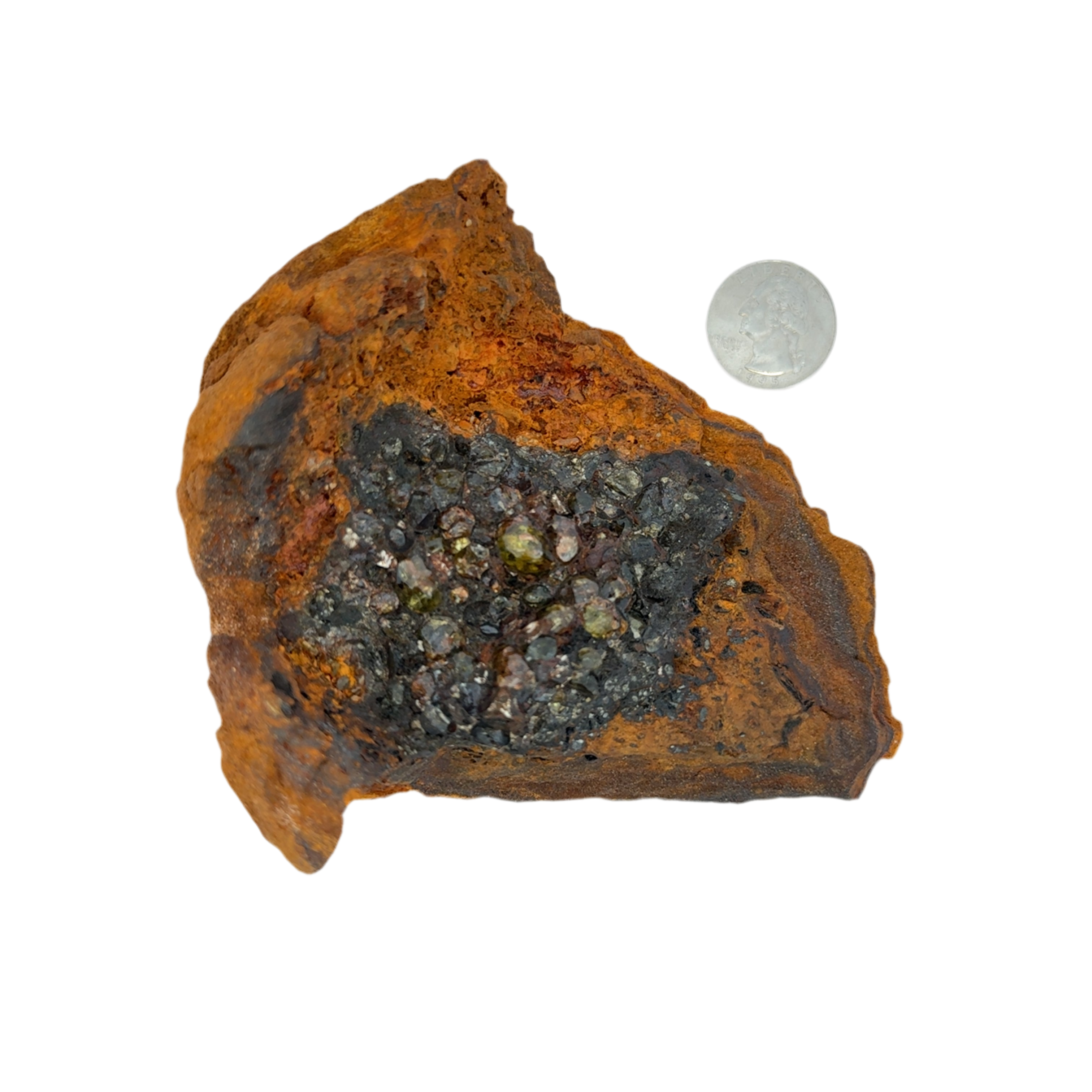 Brahin Stony-Iron Meteorite from Belarus 4.5" / 513 grams