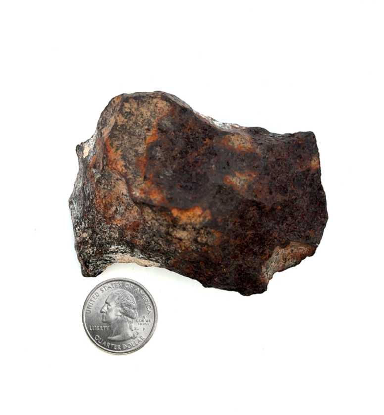 Gibeon Iron Meteorite from Namibia 3.25" / 428 grams