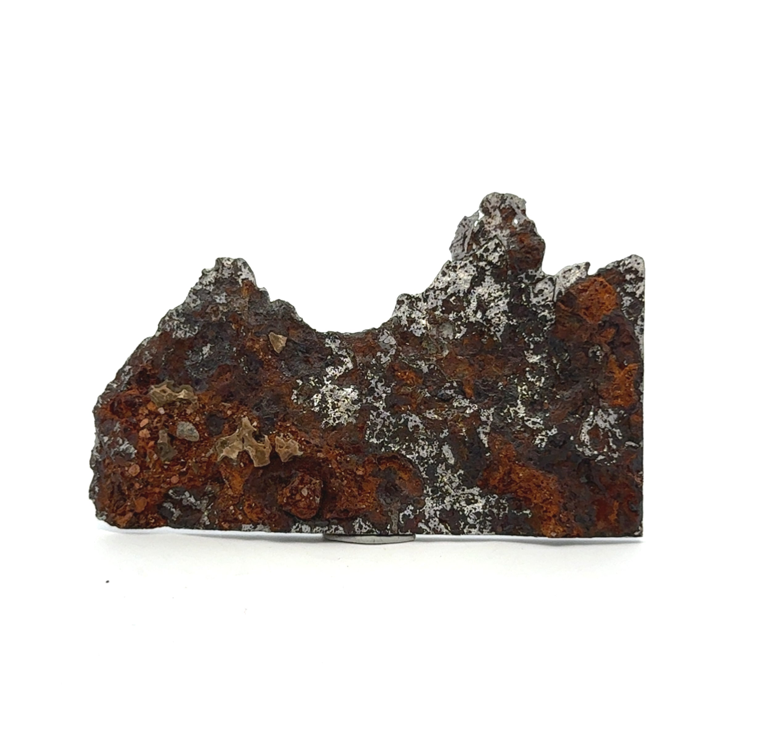 Seymchan Pallasite Stony-iron Meteorite from Russia 2.75" / 31 grams