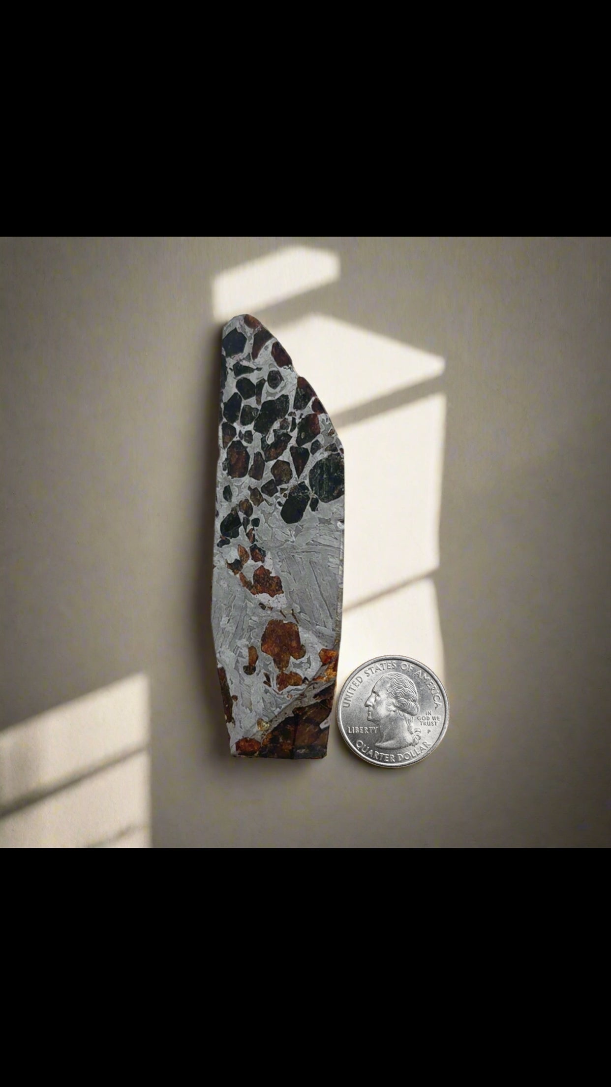 Seymchan with Pallasite Stony-iron Meteorite from Russia 3.75" / 137 grams