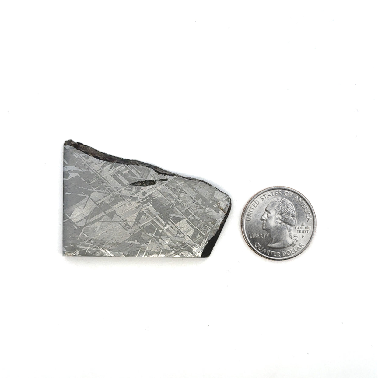 Gibeon Iron Meteorite Slice from Namibia 2.25" / 48 grams