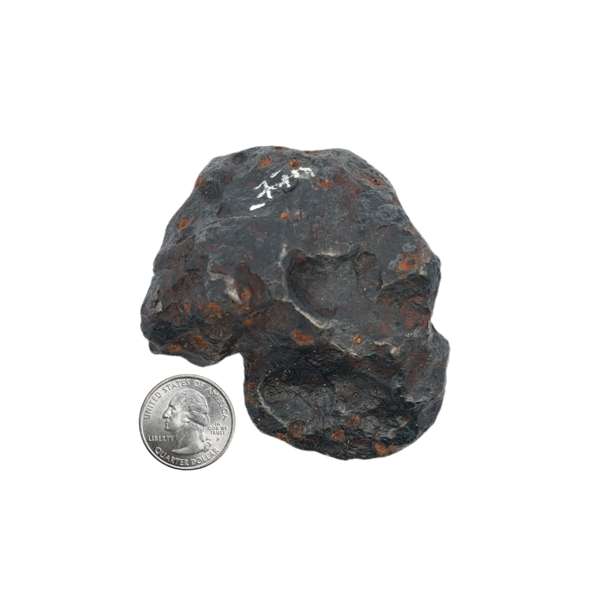 Campo del Cielo Iron Meteorite from Chaco, Argentina 3.5" / 768 grams