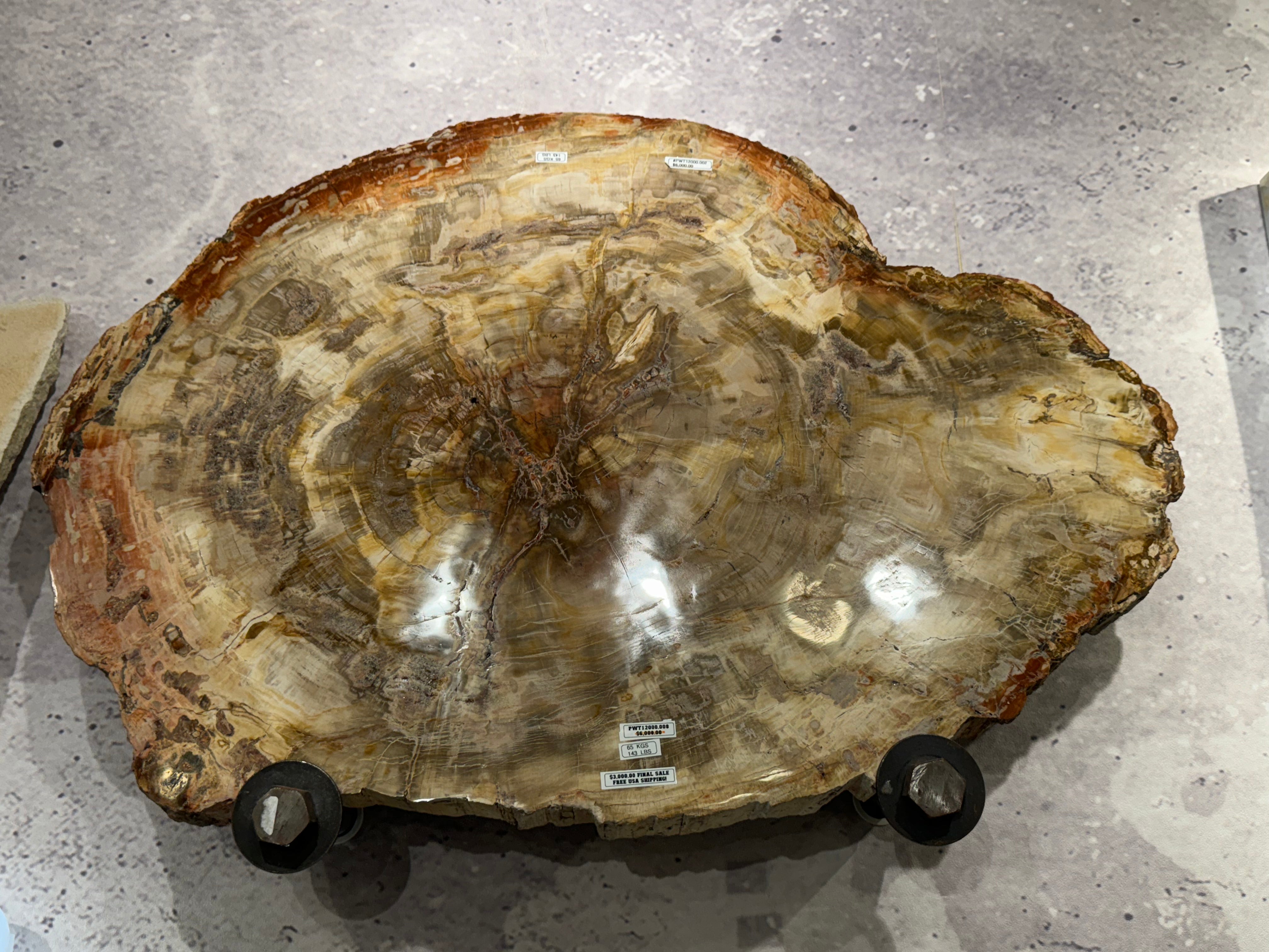 PWT12000.008 - Petrified Wood Table Top (custom stand included) 35”x27”