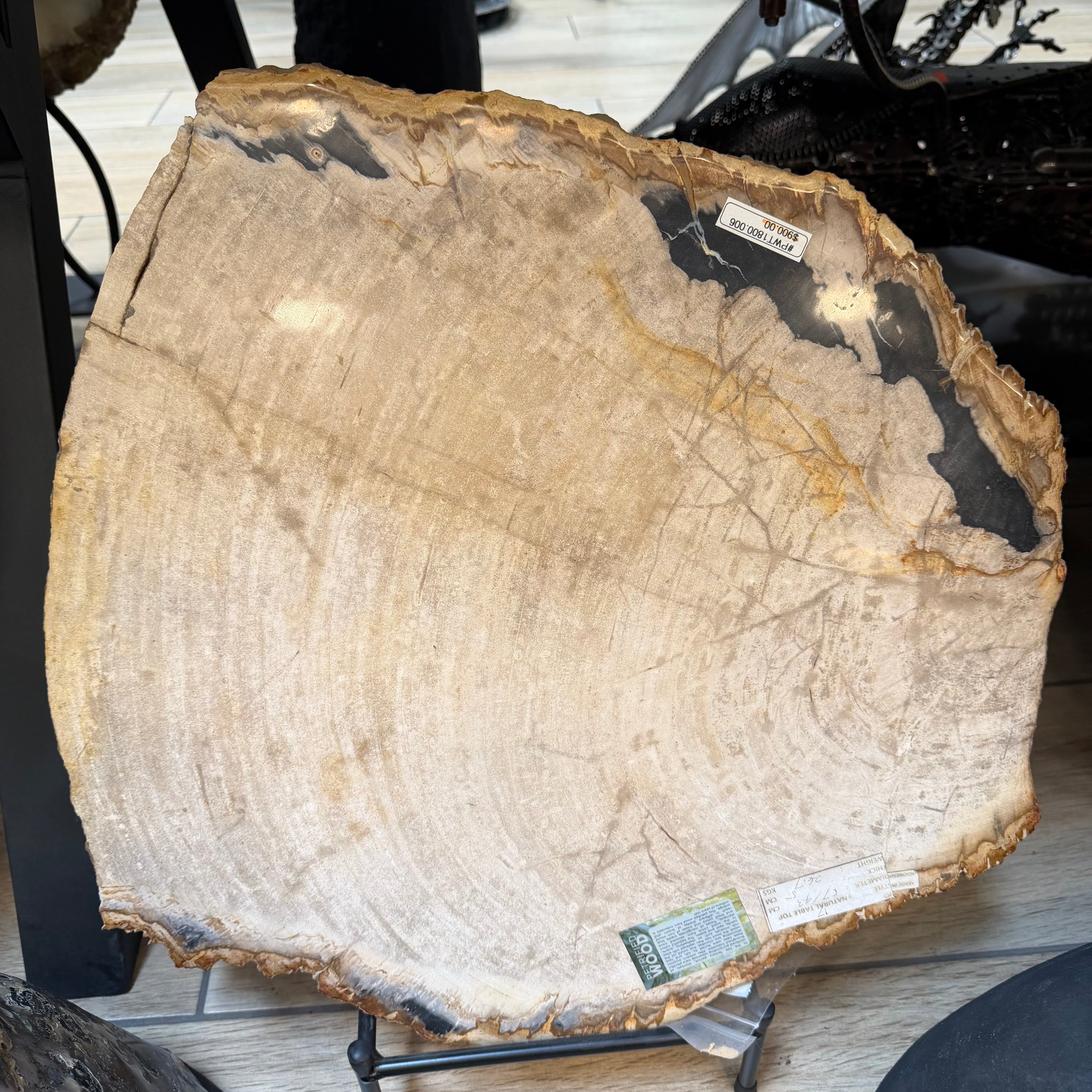18" Petrified Wood Table Top - 57 lbs