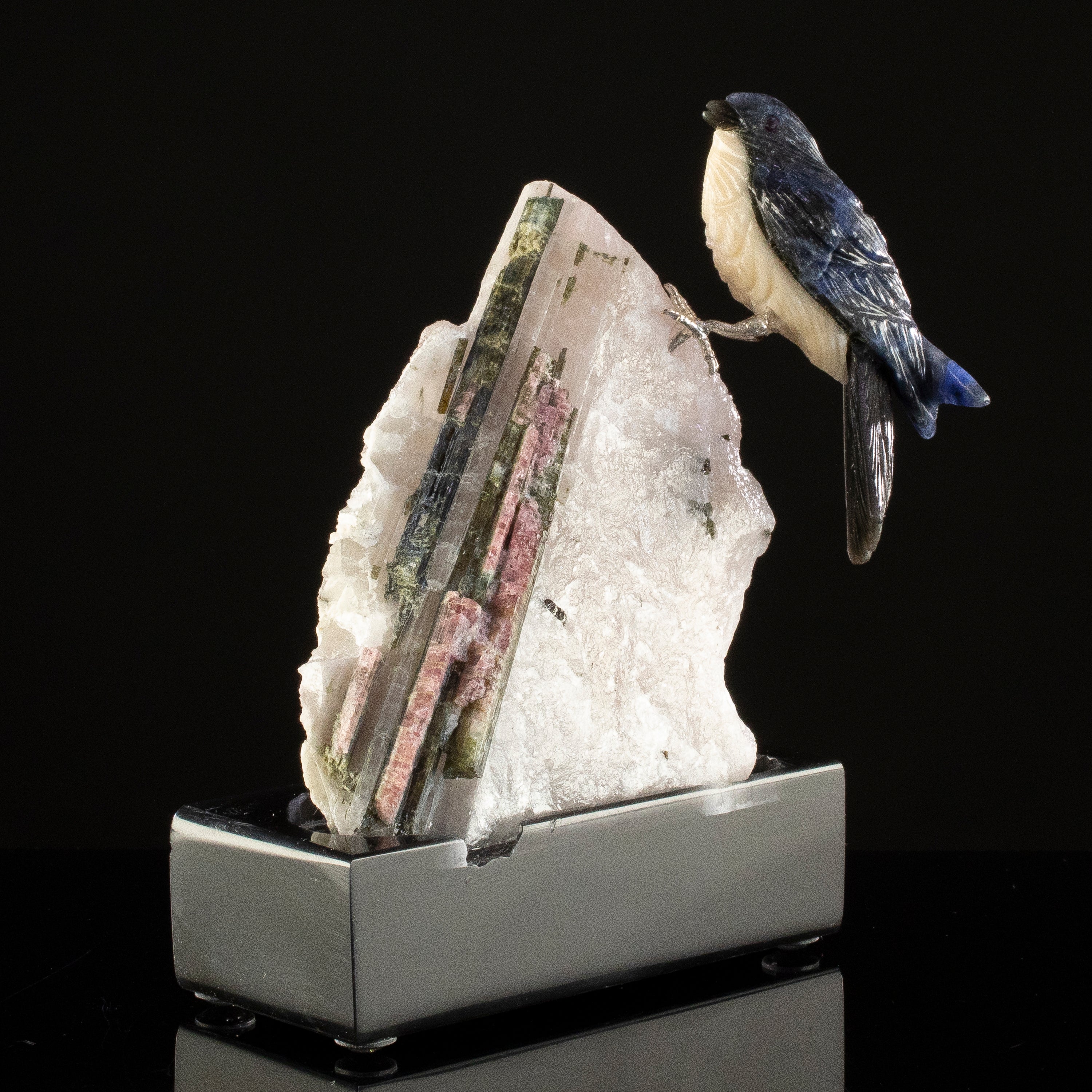 Peter Muller Sodalite Swallow Carving on Watermelon Tourmaline Base