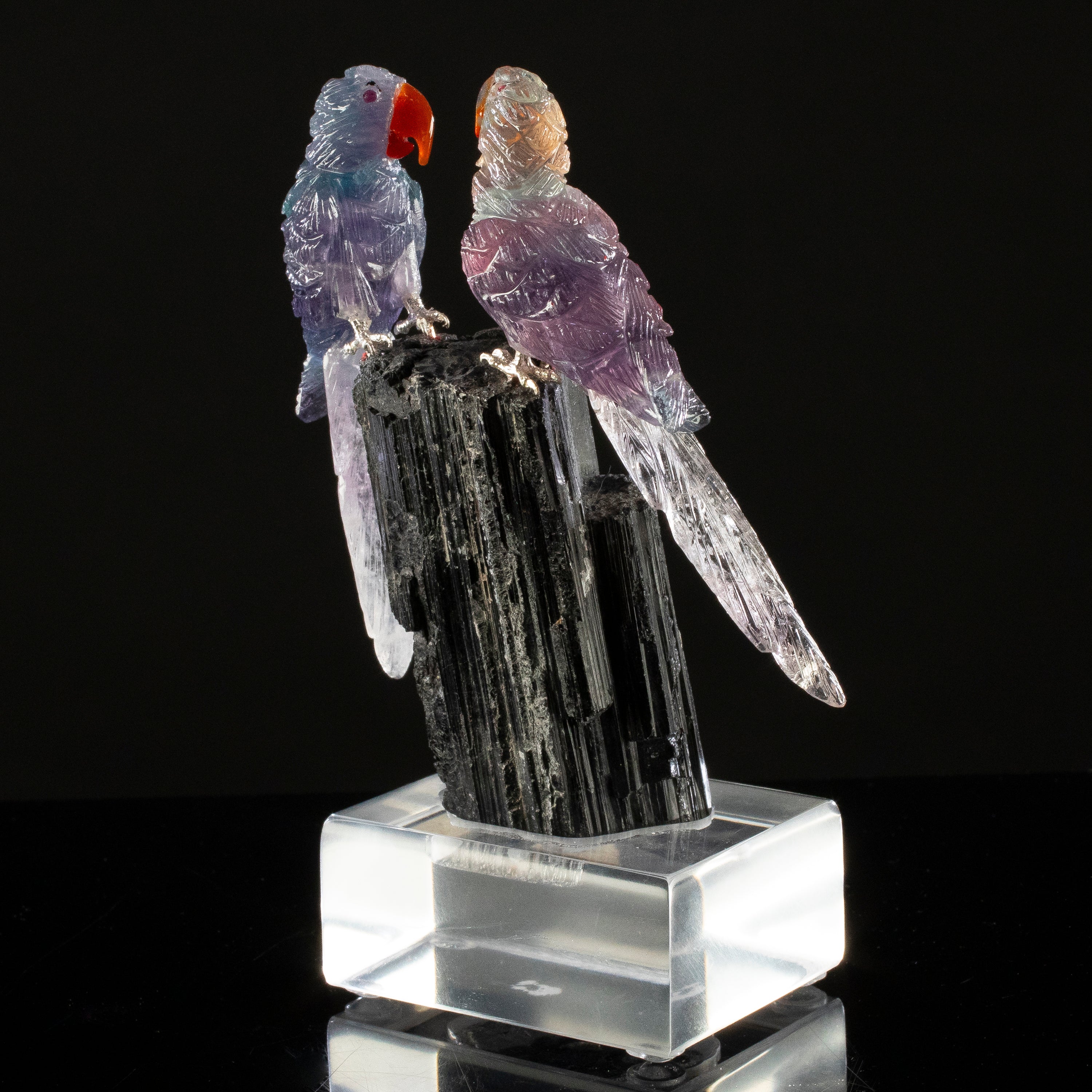 Peter Muller Fluorite Macaw Couple Carving on Black Tourmaline Base