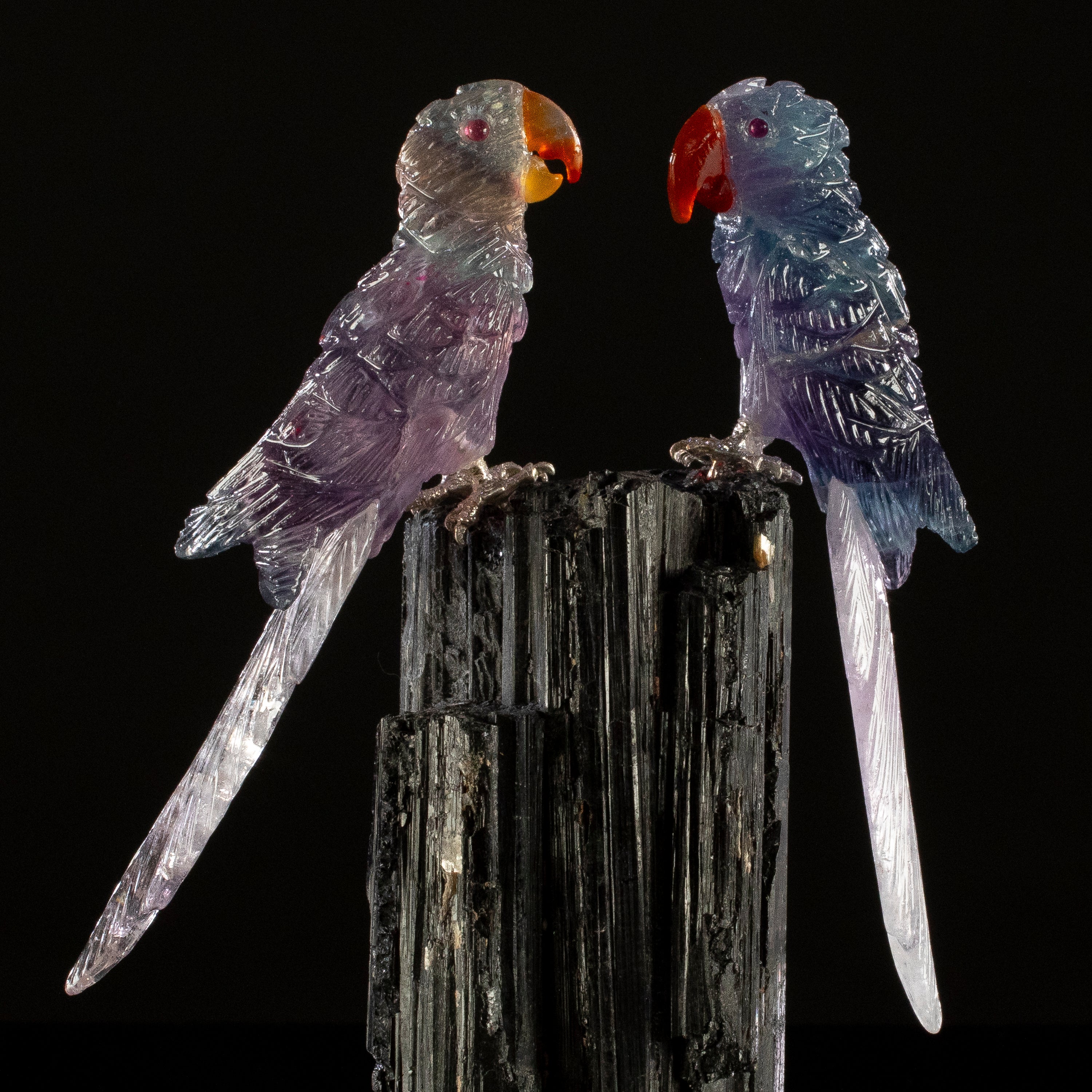 Peter Muller Fluorite Macaw Couple Carving on Black Tourmaline Base