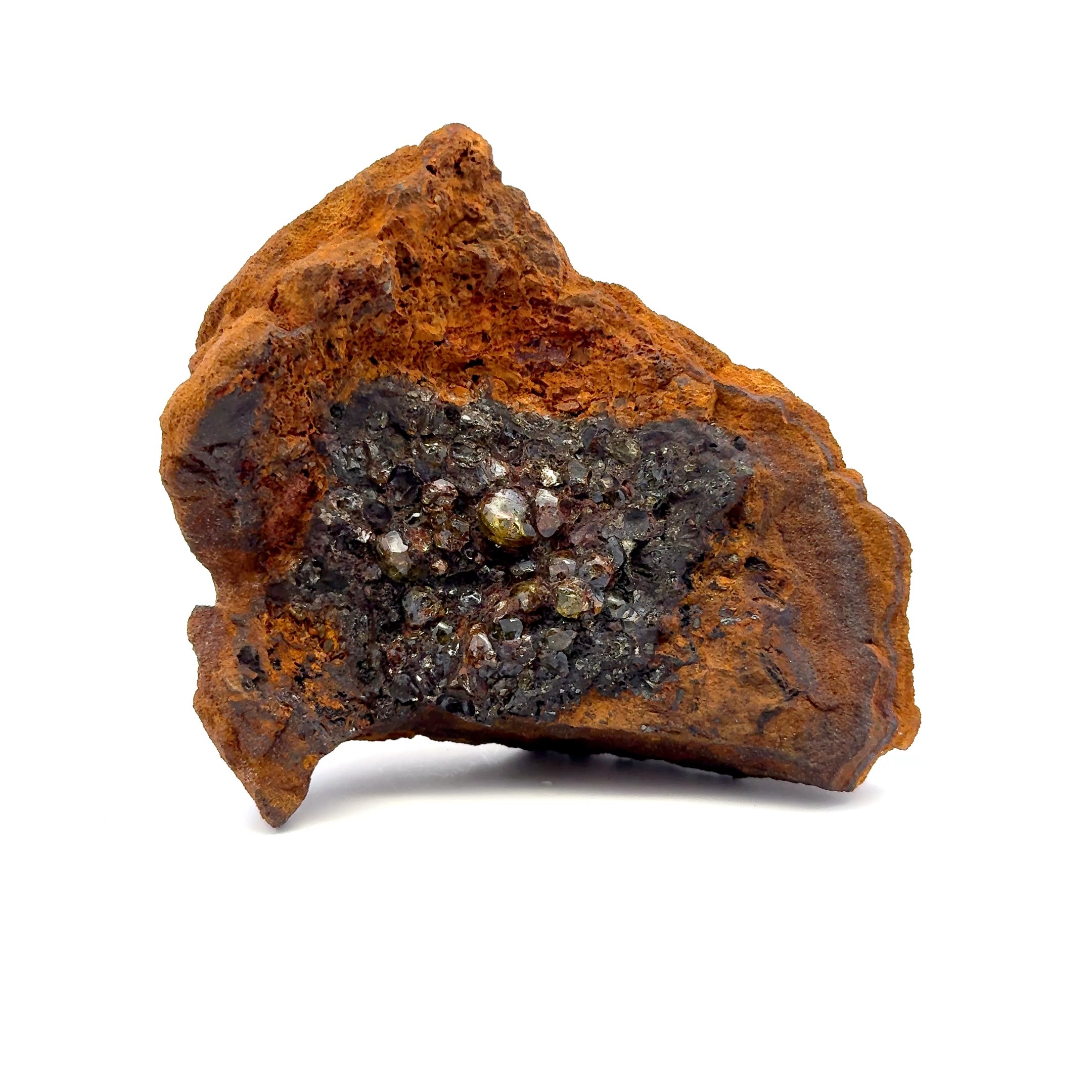 Brahin Stony-Iron Meteorite from Belarus 4.5" / 513 grams