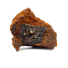 Brahin Stony-Iron Meteorite from Belarus 4.5