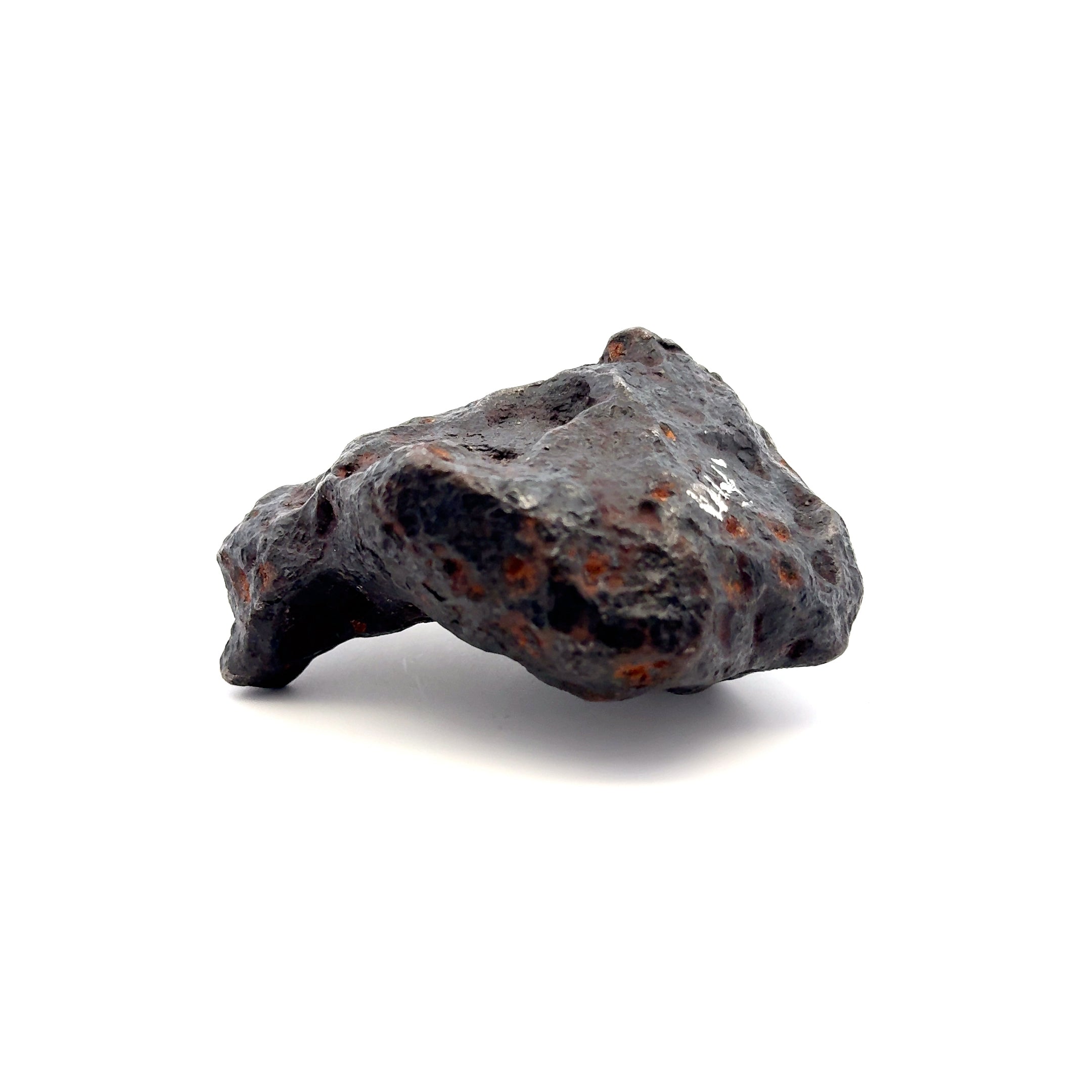 Campo del Cielo Iron Meteorite from Chaco, Argentina 3.5" / 768 grams