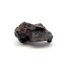 Campo del Cielo Iron Meteorite from Chaco, Argentina 3.5