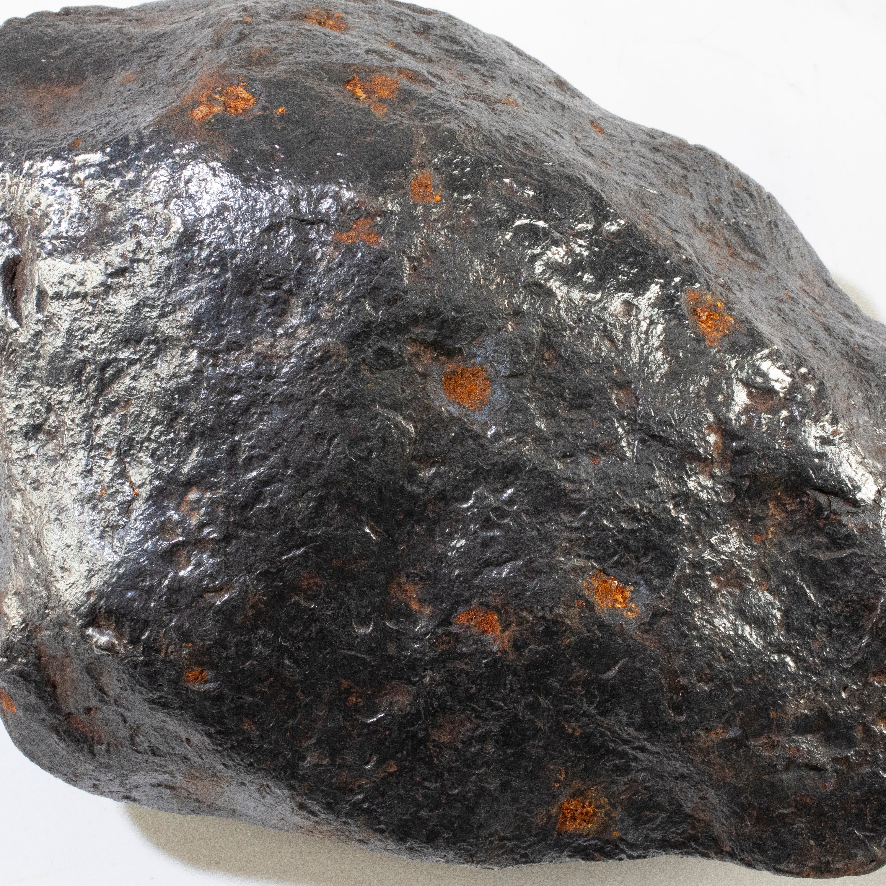 Campo del Cielo Iron Meteorite from Chaco, Argentina 6" / 2,850 grams