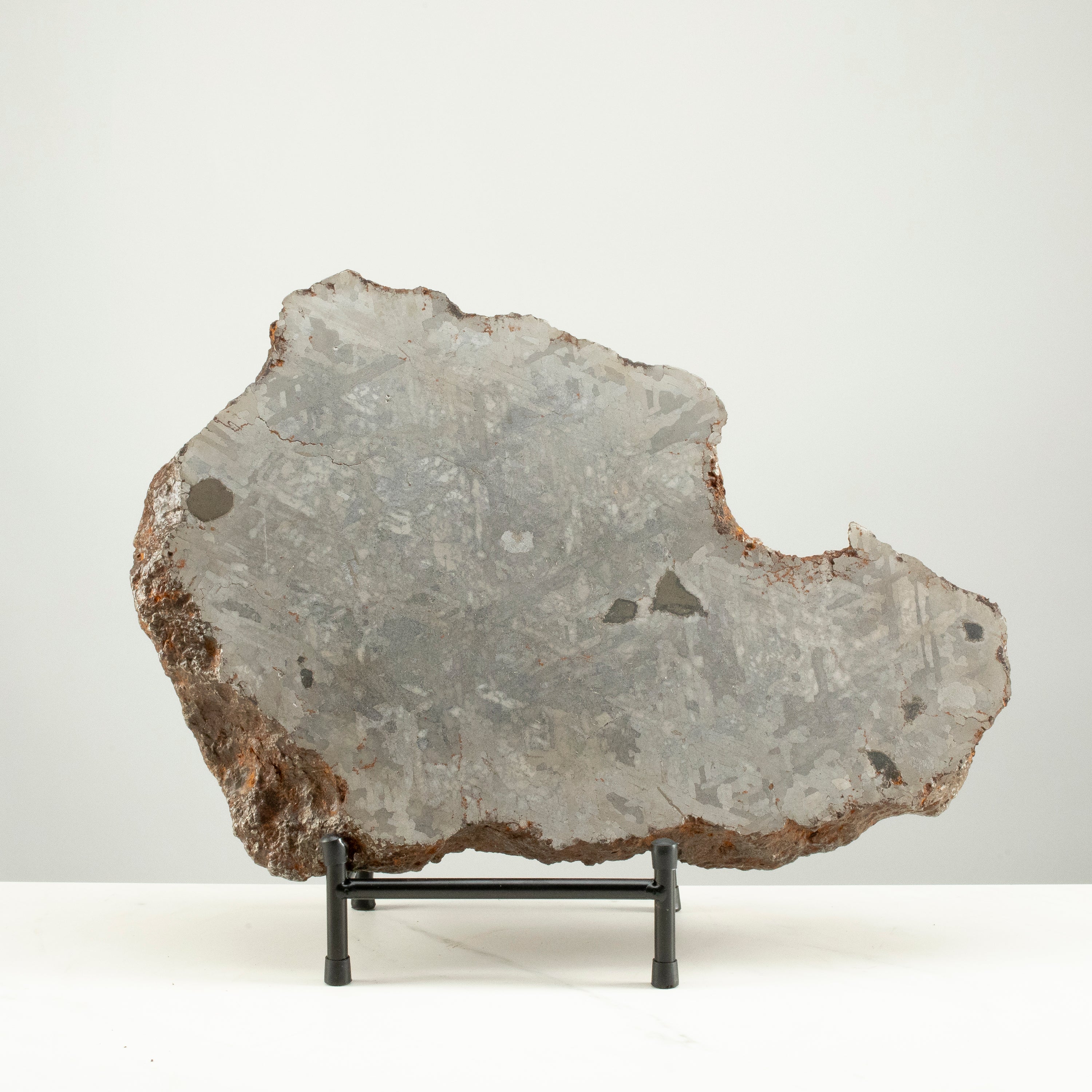 Campo Del Cielo Iron Meteorite End Cut from Chaco, Argentina 16.5" / 35 kgs