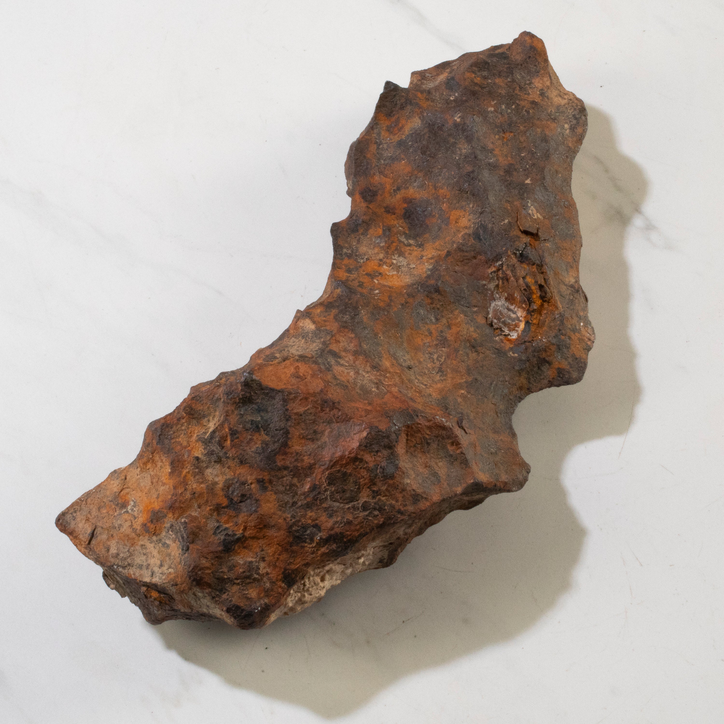 Canyon Diablo Iron Meteorite "The Bat" from Yavapai County, Arizona 12" / 7,110 grams