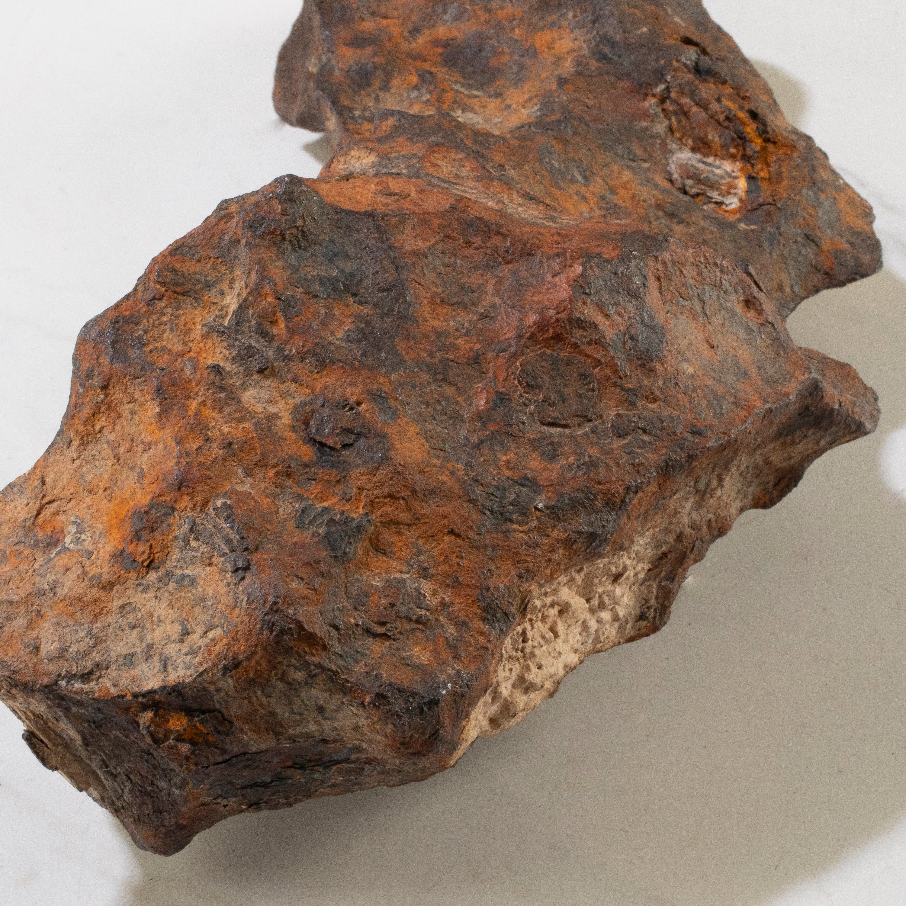 Canyon Diablo Iron Meteorite "The Bat" from Yavapai County, Arizona 12" / 7,110 grams