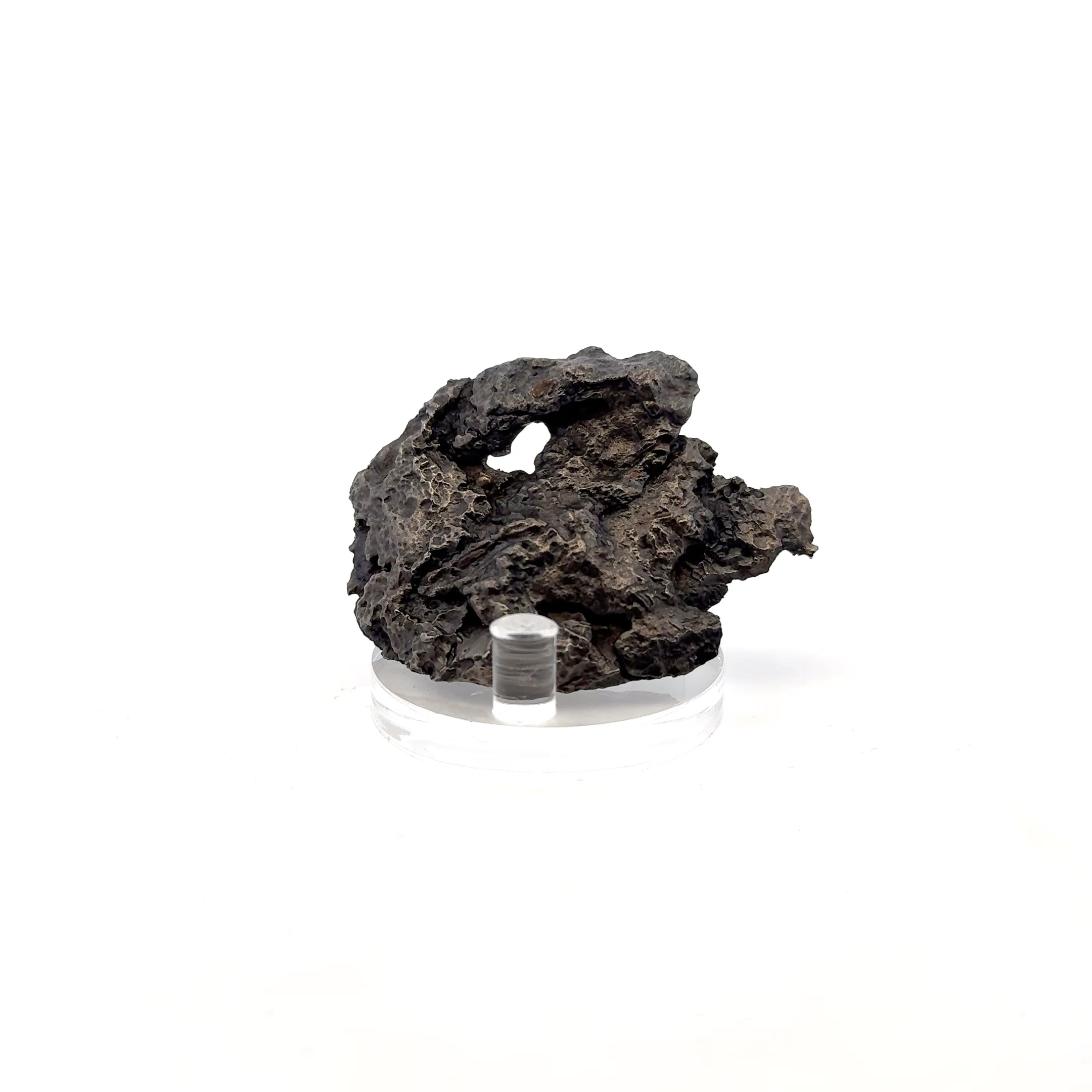 Dronino Iron Meteorite from Ryazan district, Russia 2.75" / 74 grams