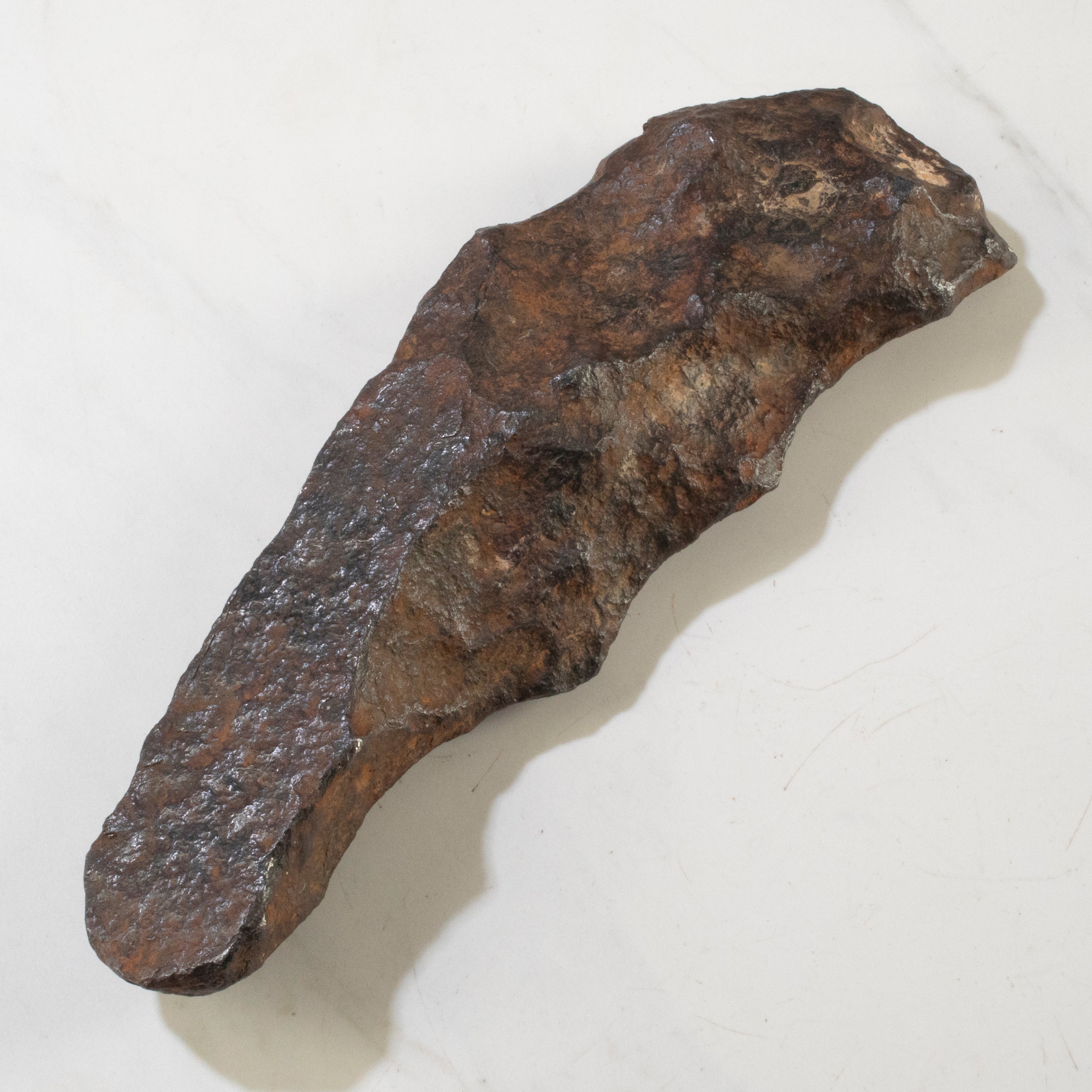 Gibeon Iron Meteorite from Namibia 10" / 2,480 grams